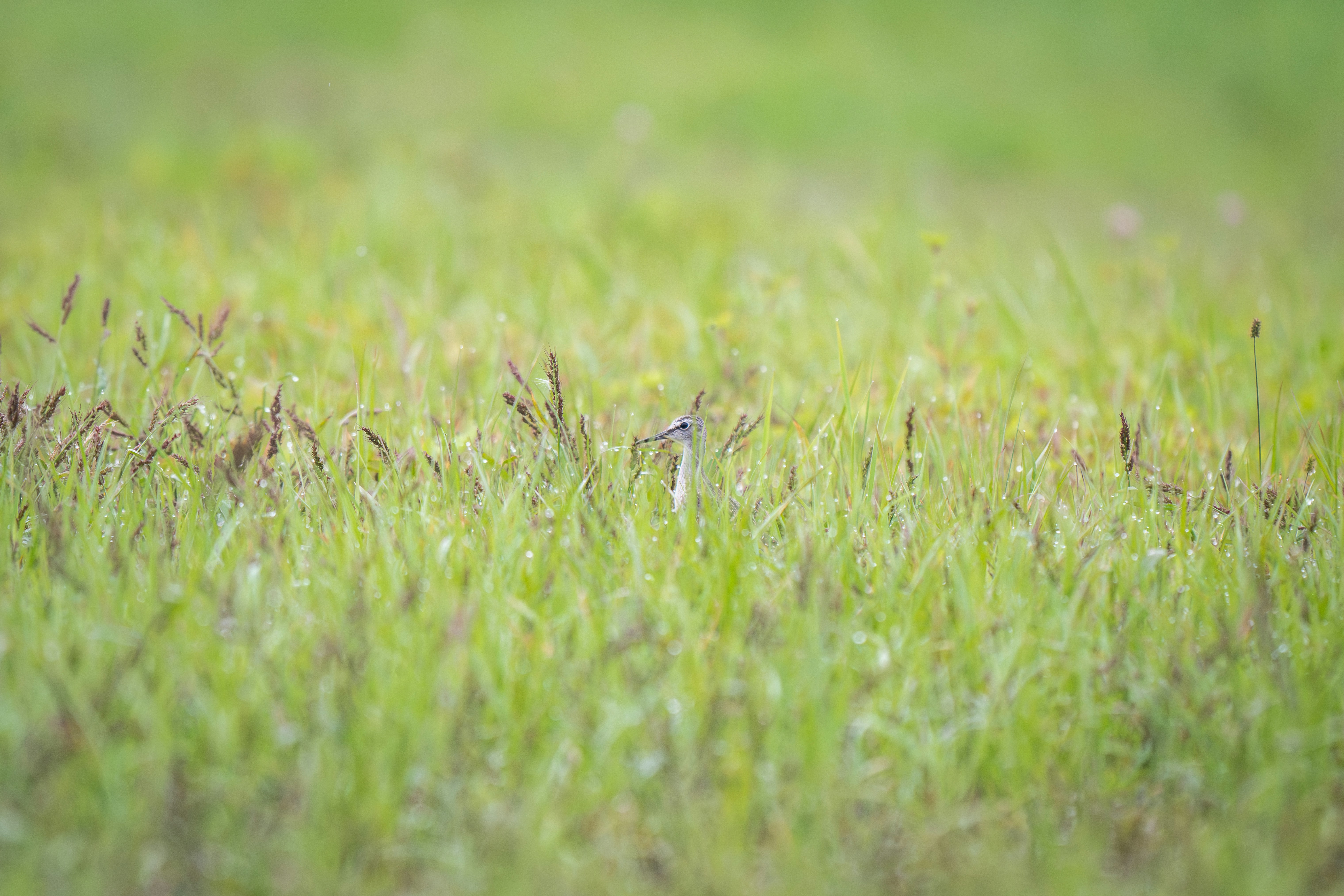 Photo by andreystrizhkov