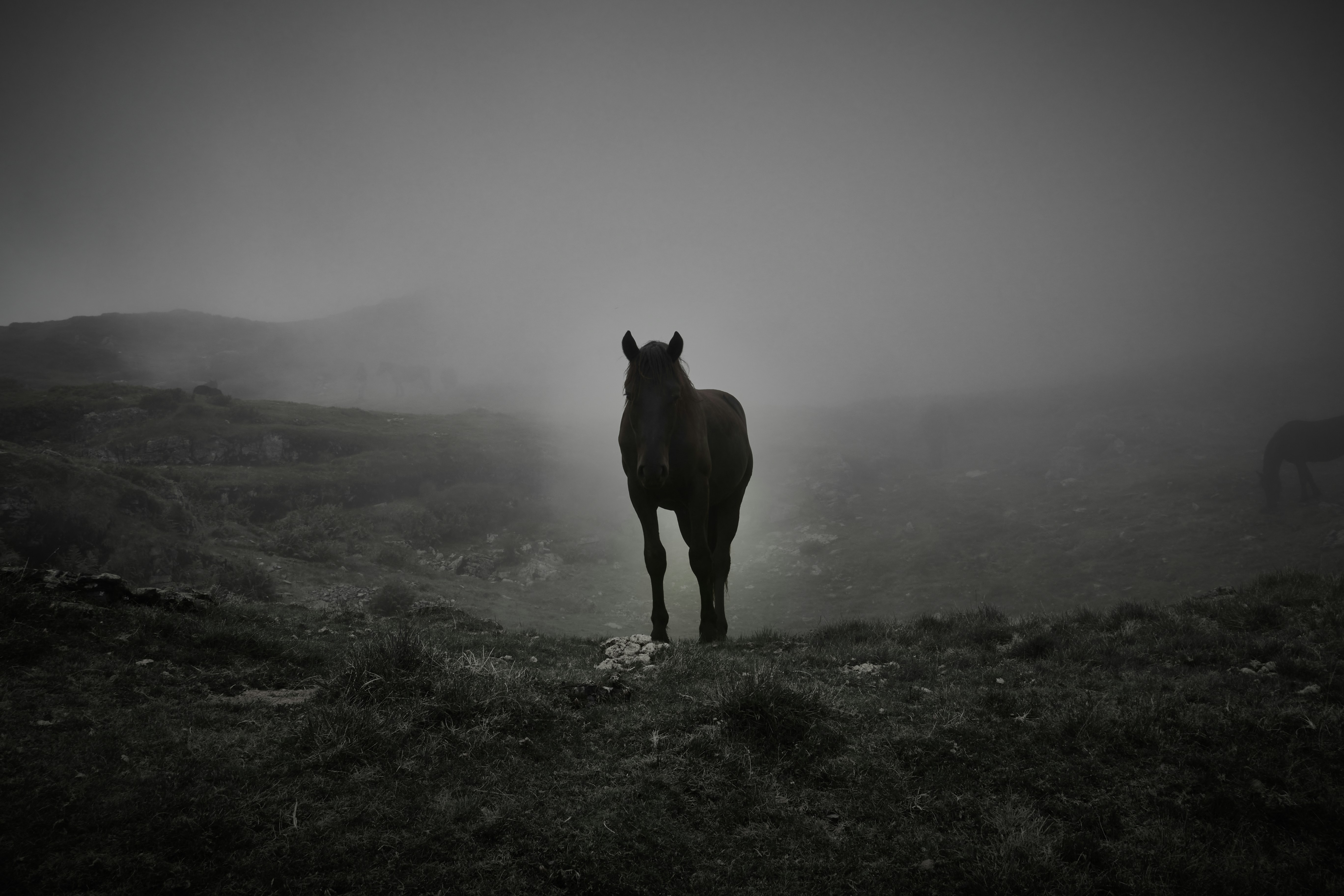 Photo by timoun