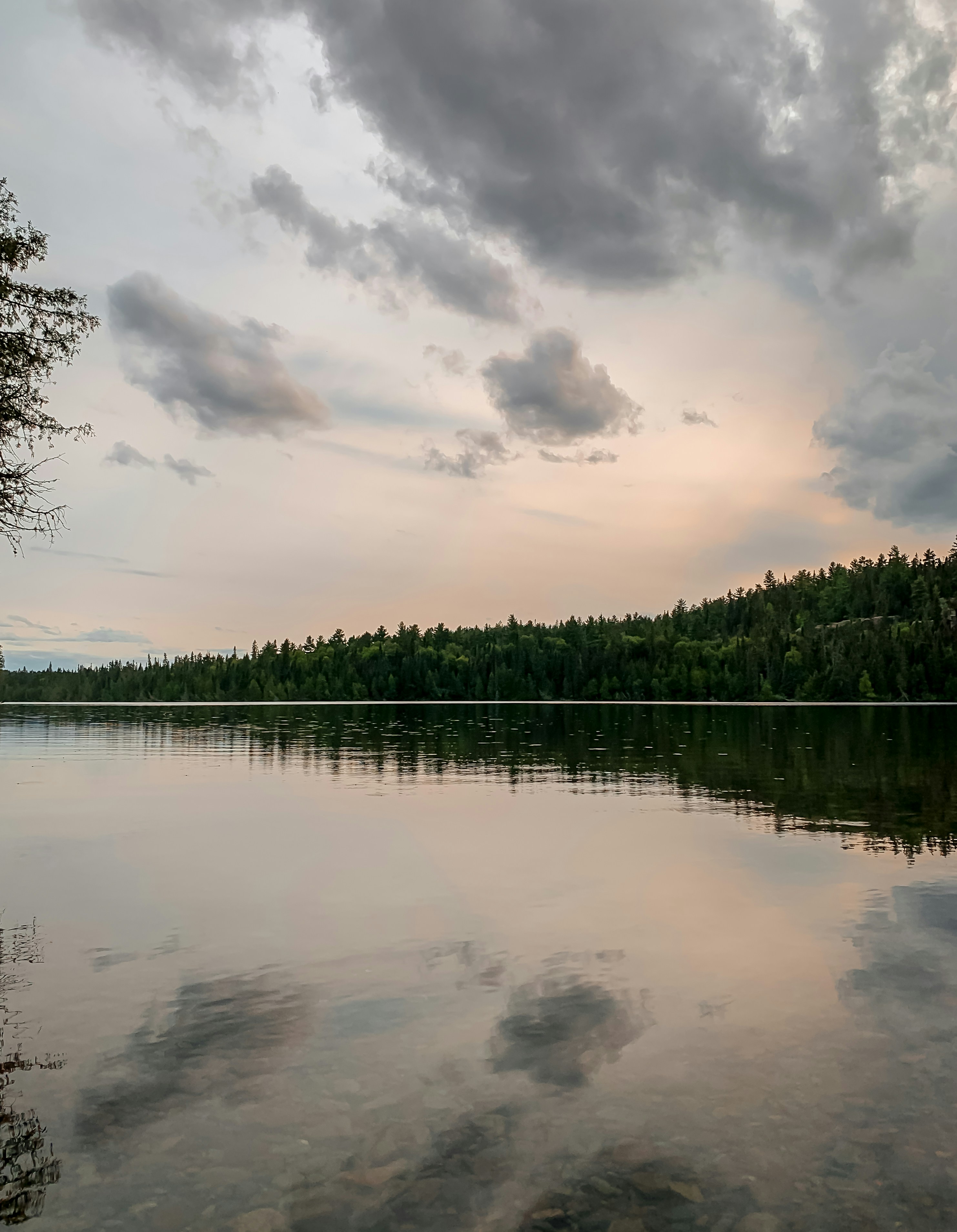 A large body of water surrounded by a forest