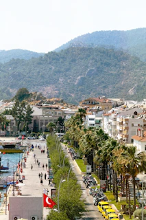 A view of a city with mountains in the background