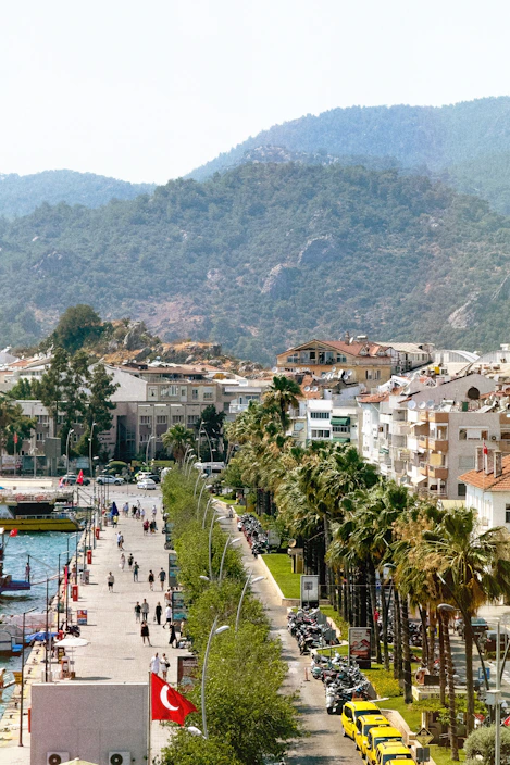 A view of a city with mountains in the background