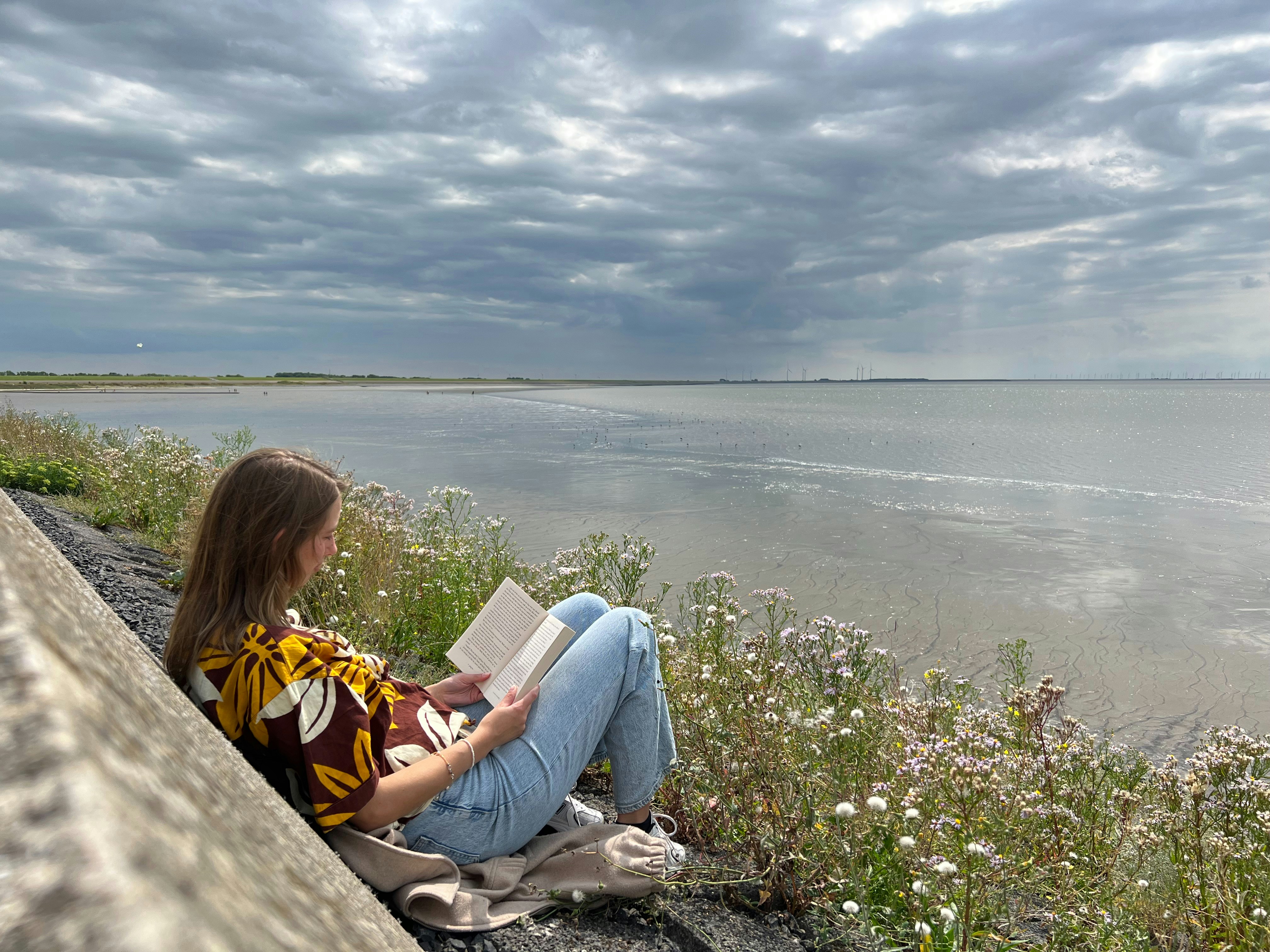 um, mulher, sentando, ligado, um, borda, leitura, um, livro