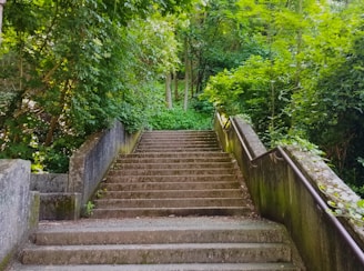 A set of stairs leading to a lush green forest