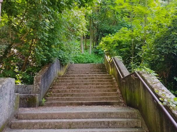 A set of stairs leading to a lush green forest