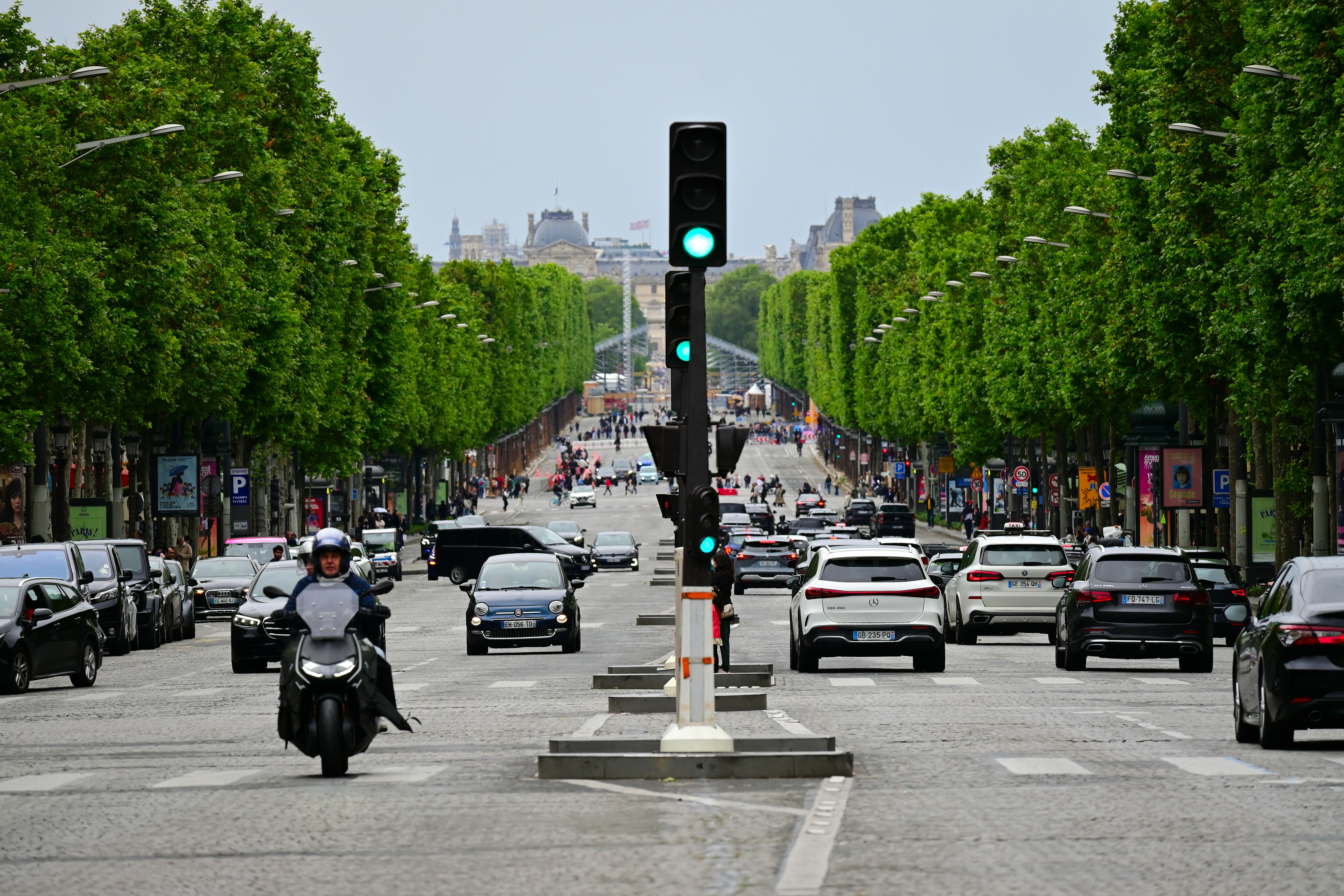 cafard-blattes-75008-Paris-8