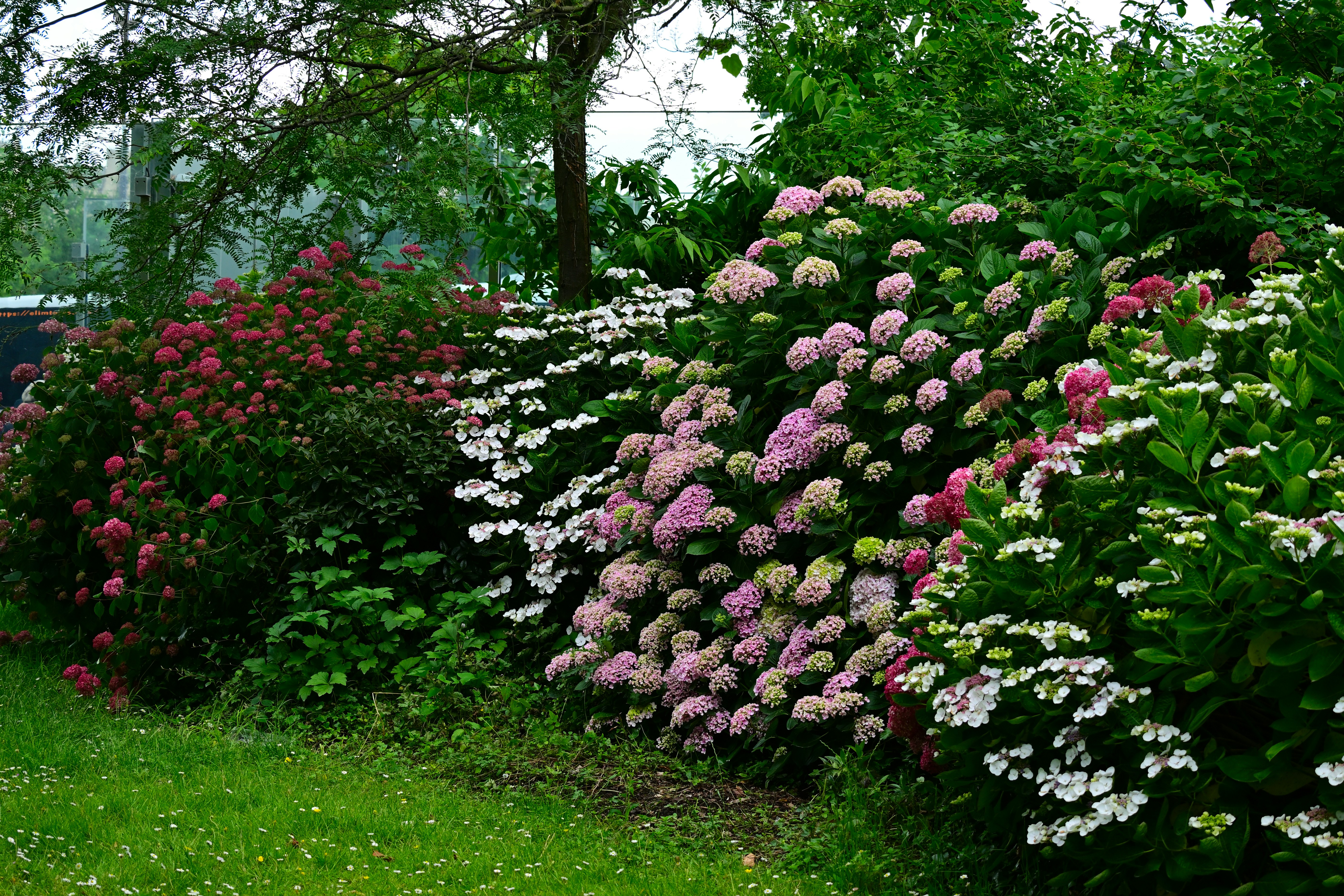 Photo by aminzabardast