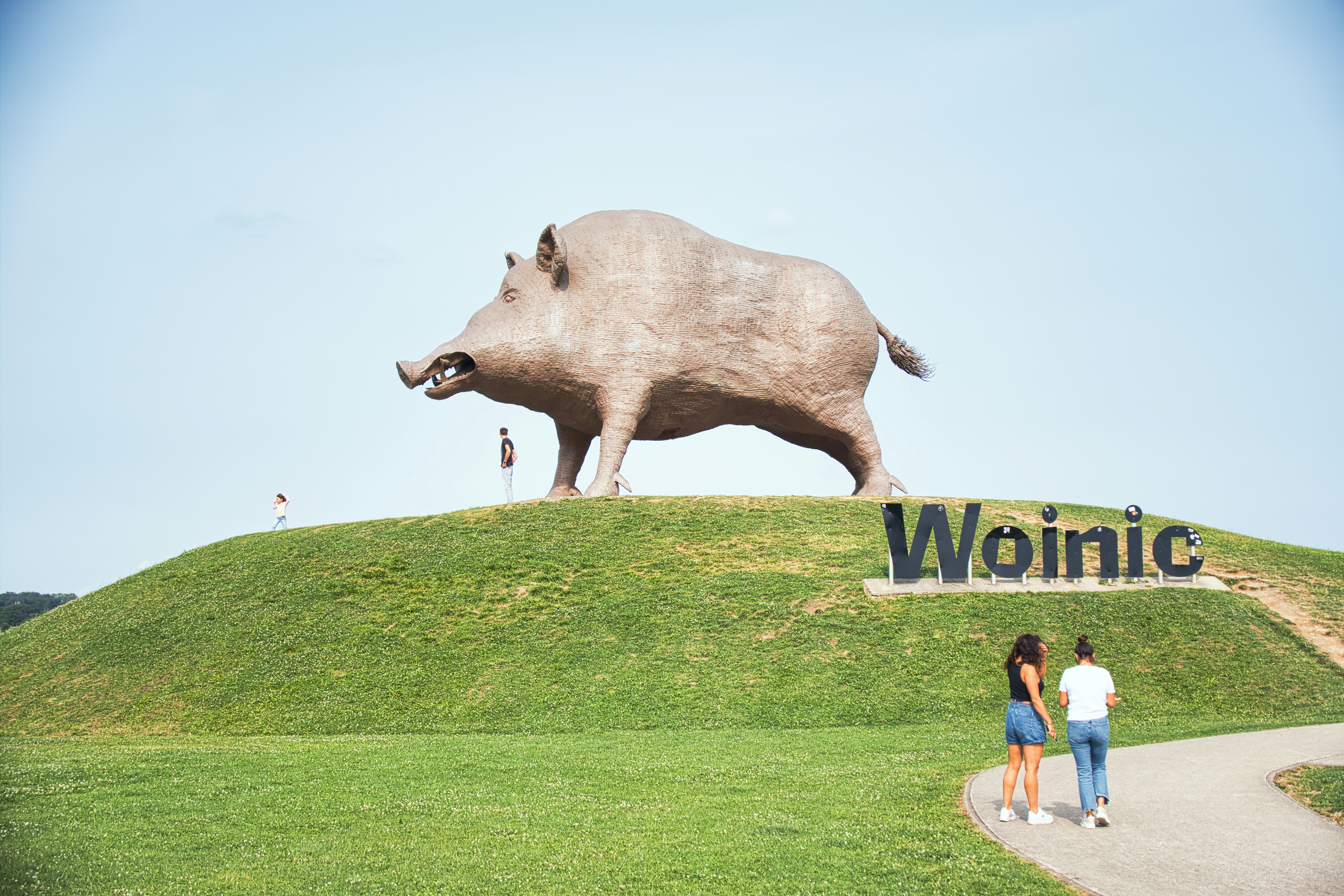 Master WooCommerce: Track Orders & Secure Checkout