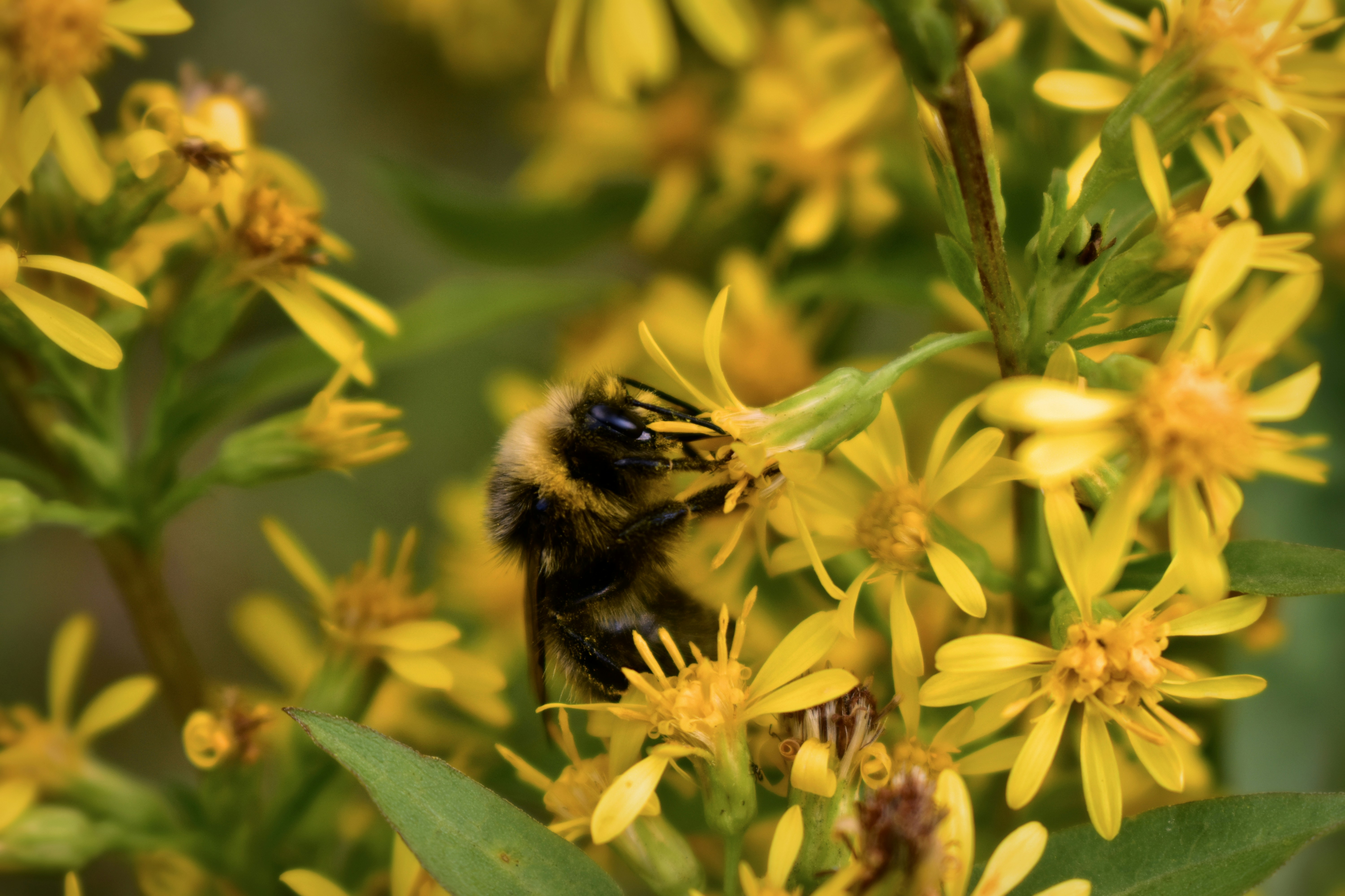 Photo by polina_grishma