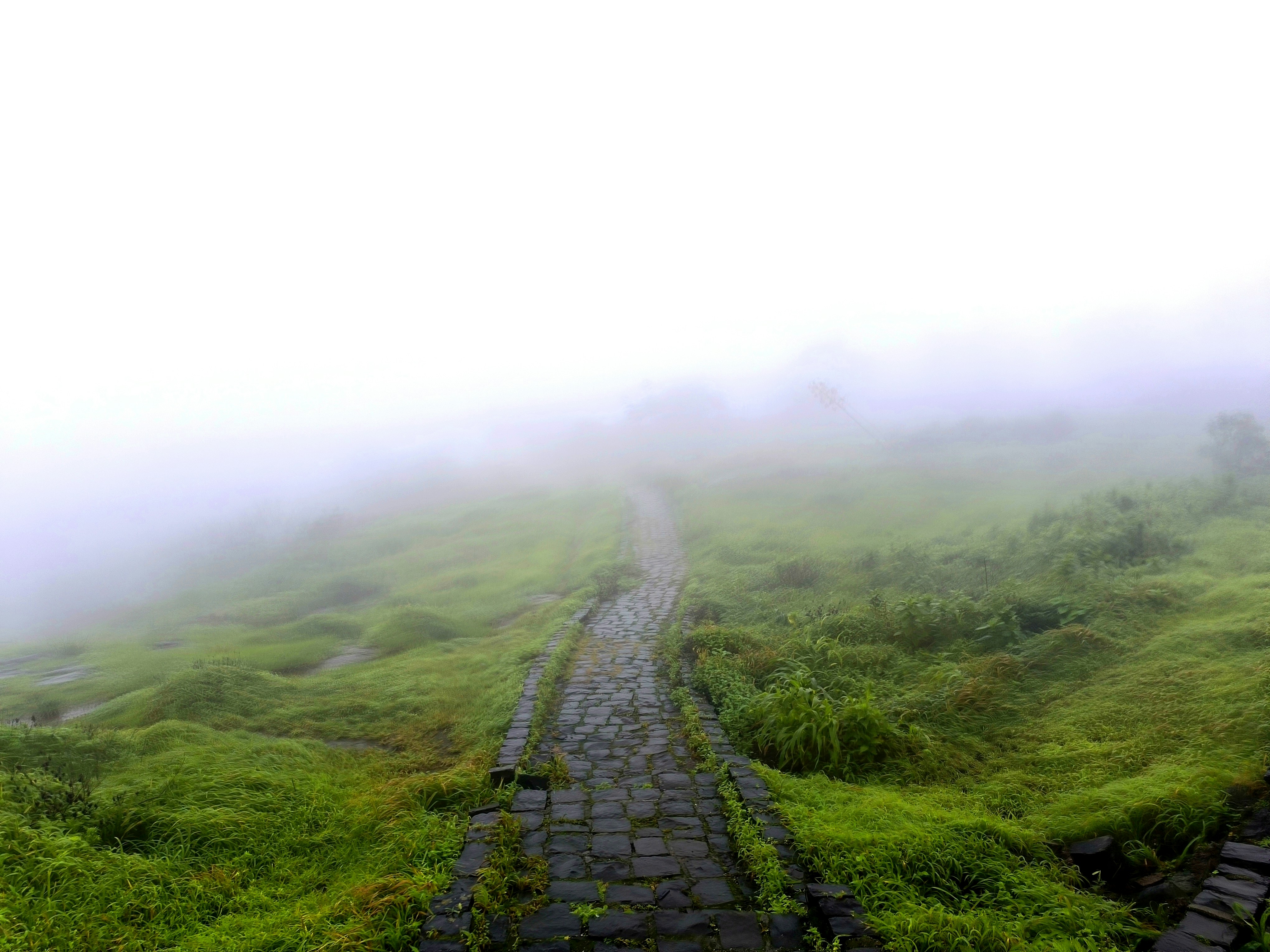 Photo by saipratimmishra