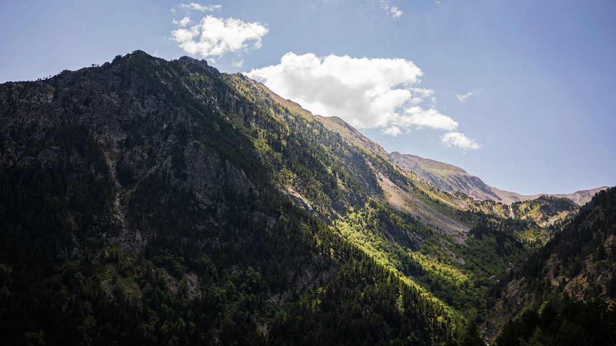 Forested slopes rising to a bare rocky ridge in the Comapedrosa area