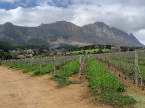 A dirt road in front of a mountain range
