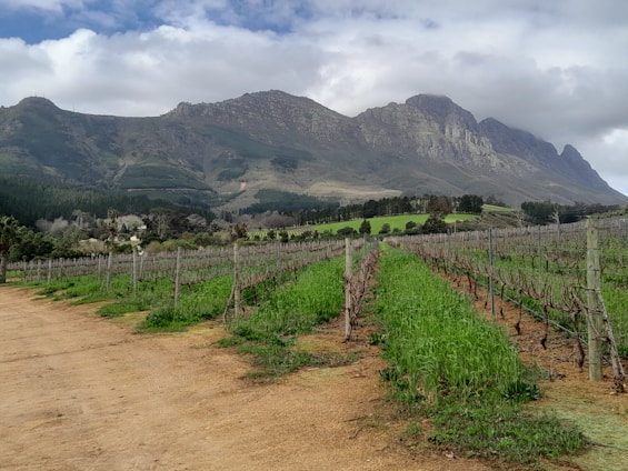 A dirt road in front of a mountain range