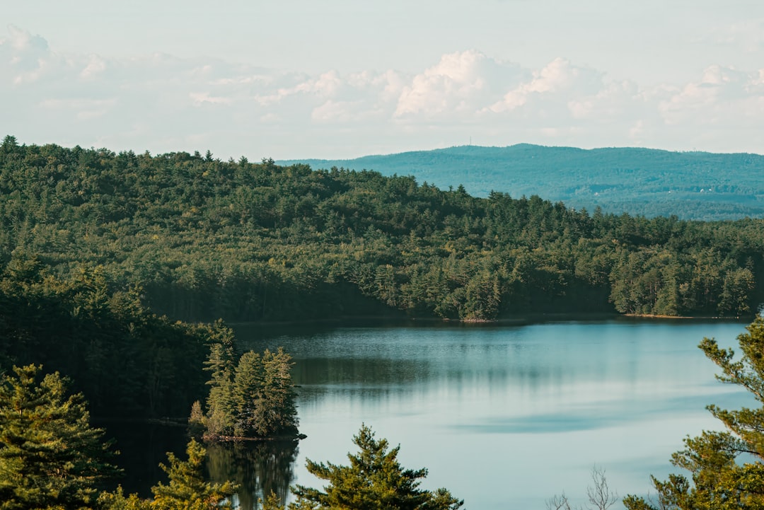 A large body of water surrounded by trees