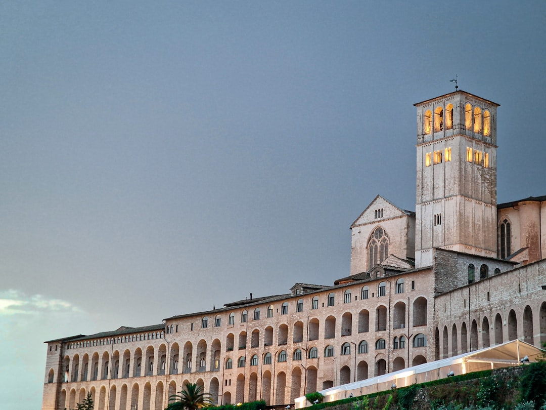 A large building with a clock tower on top of it, A Blend of Trees and Historic Architecture in the Heart of Rome