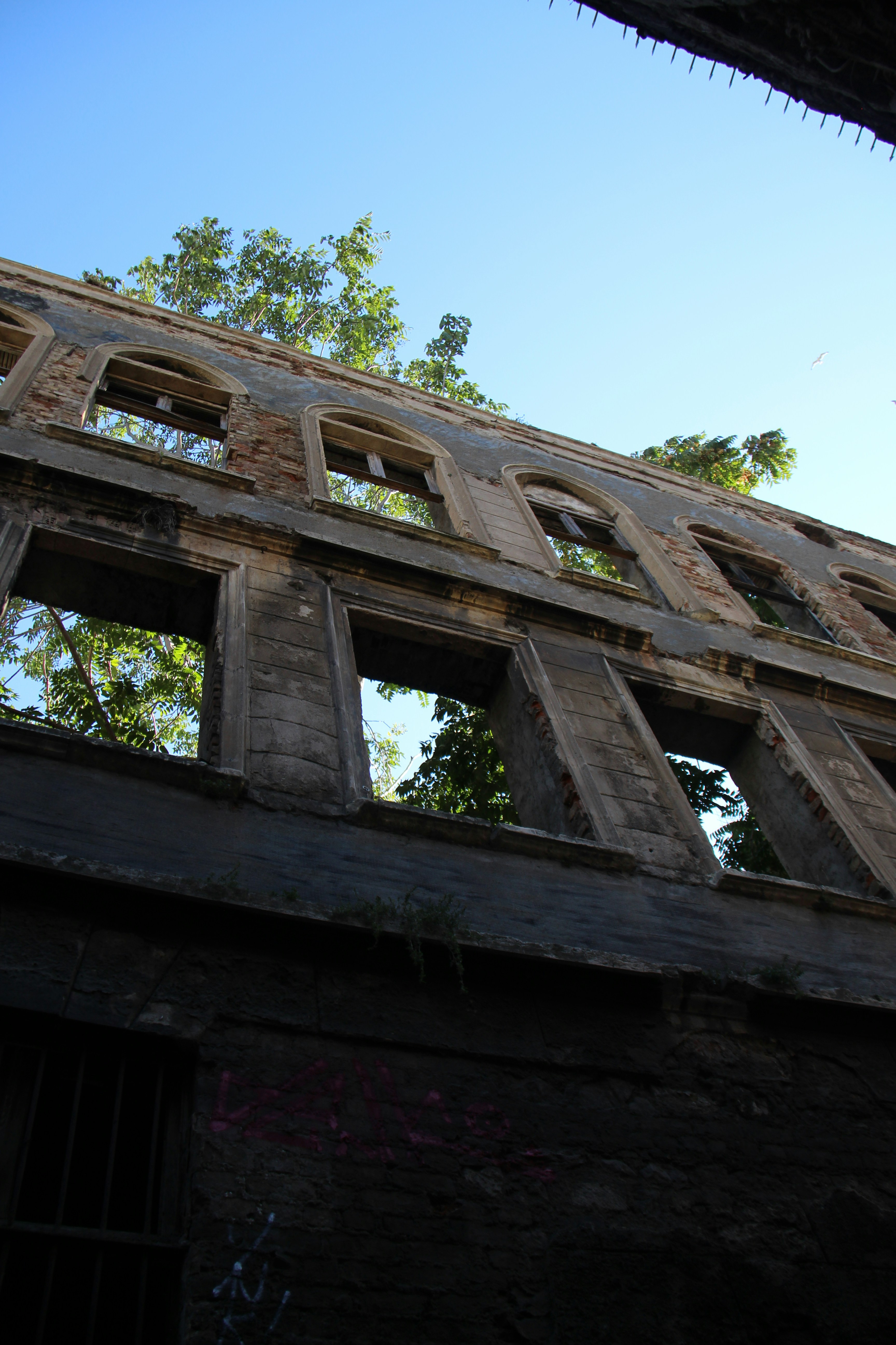 Photo by defneheybeli