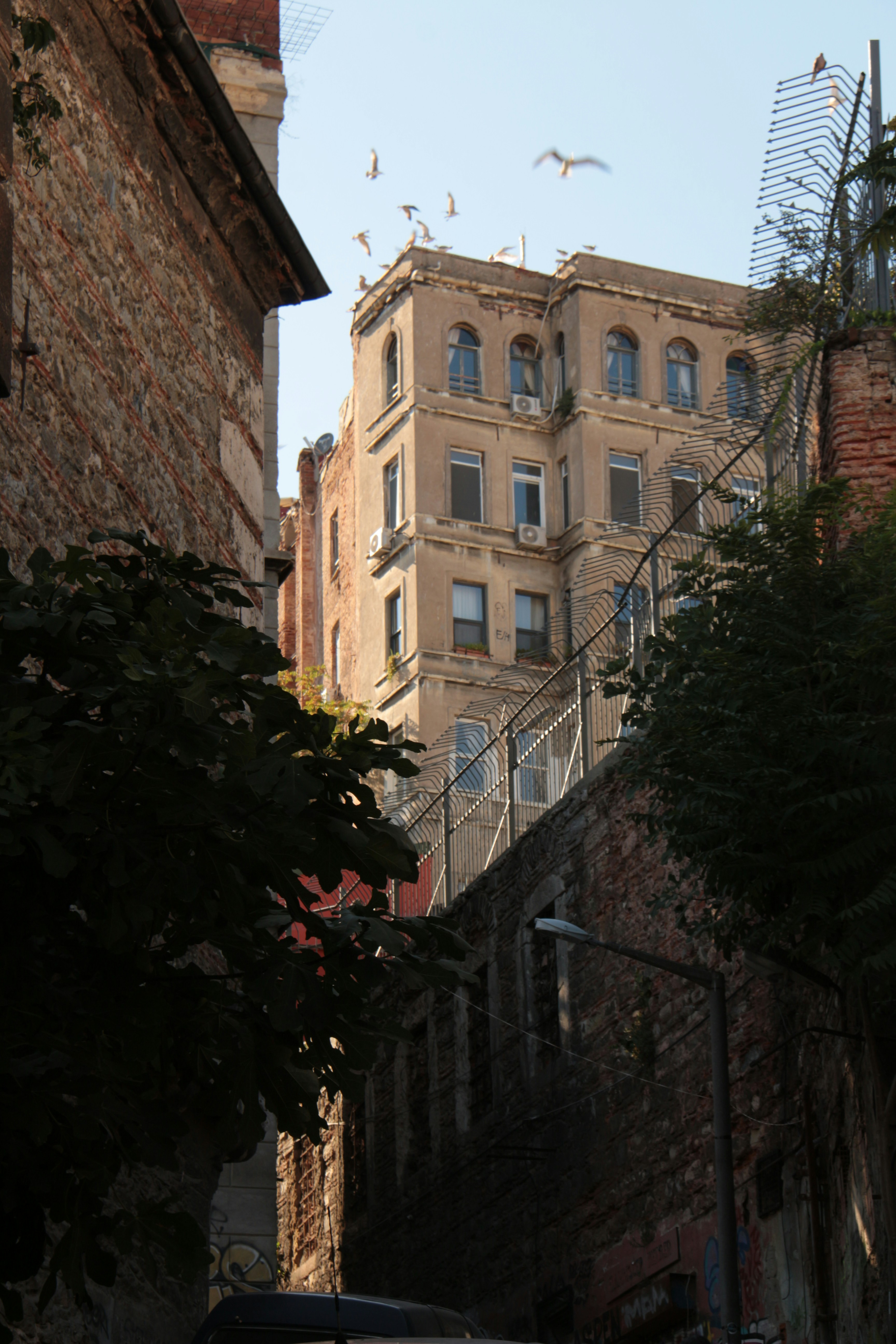 Photo by defneheybeli