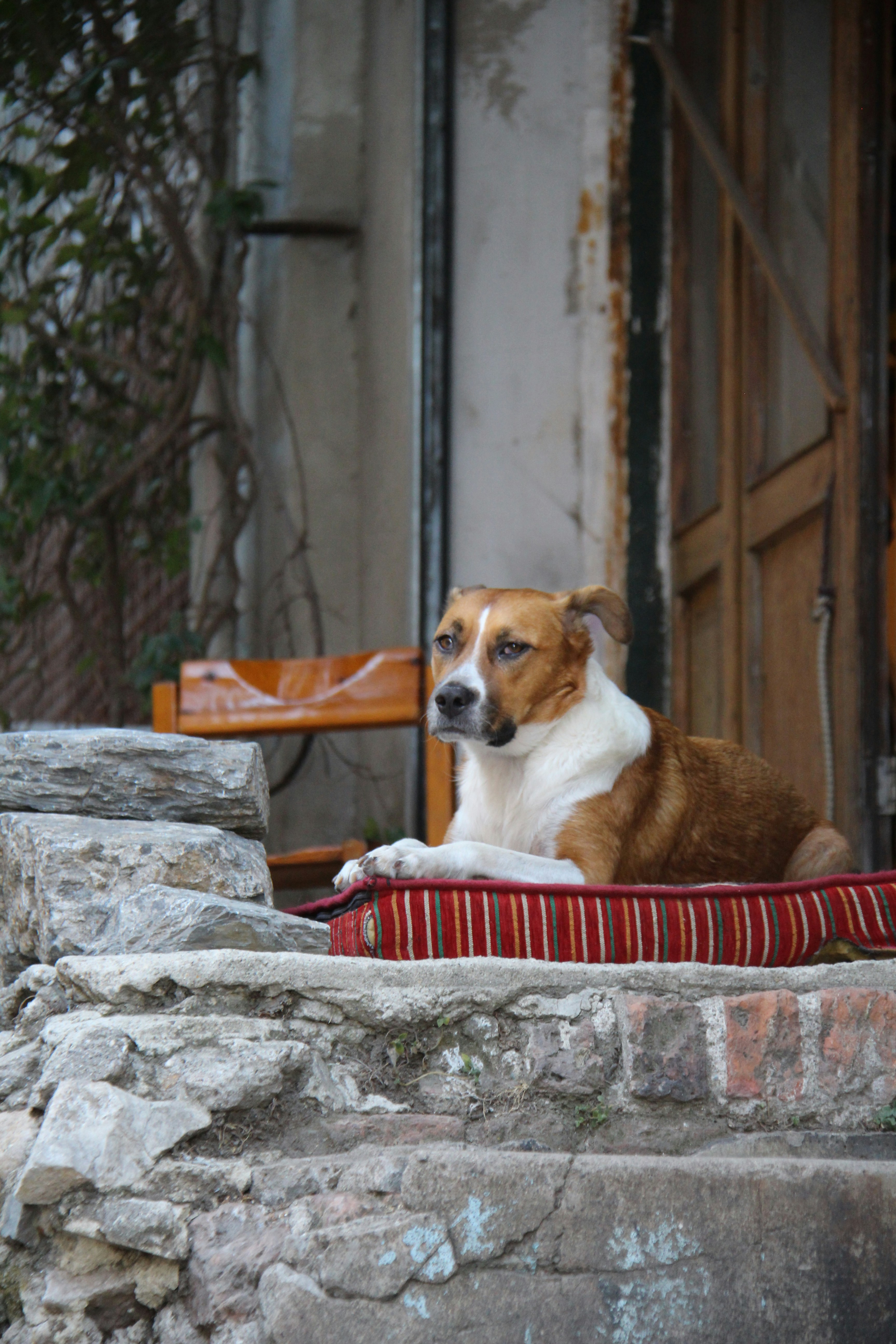 Photo by defneheybeli