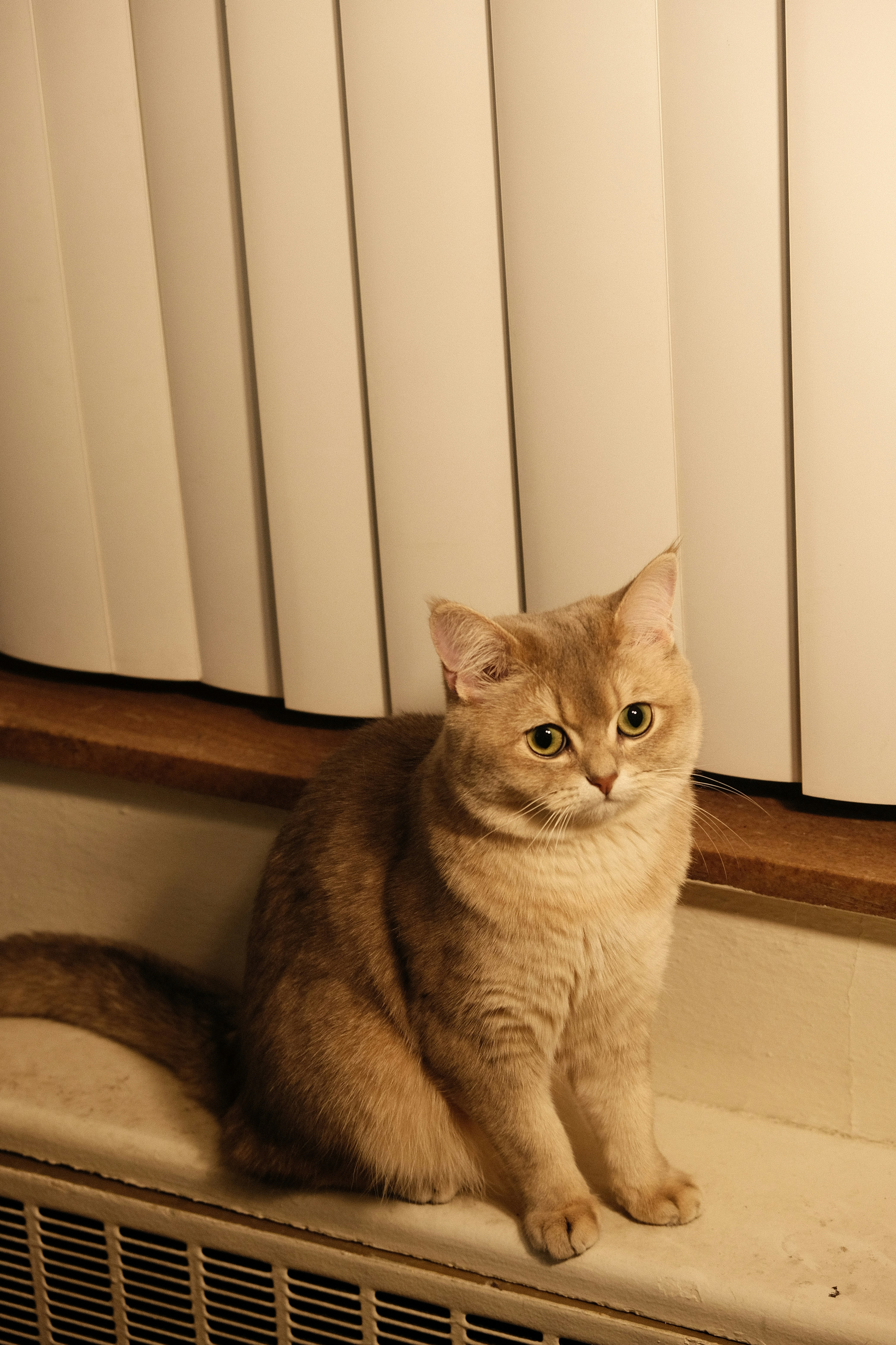 Seasonal and Environmental Influences (image credits: unsplash)