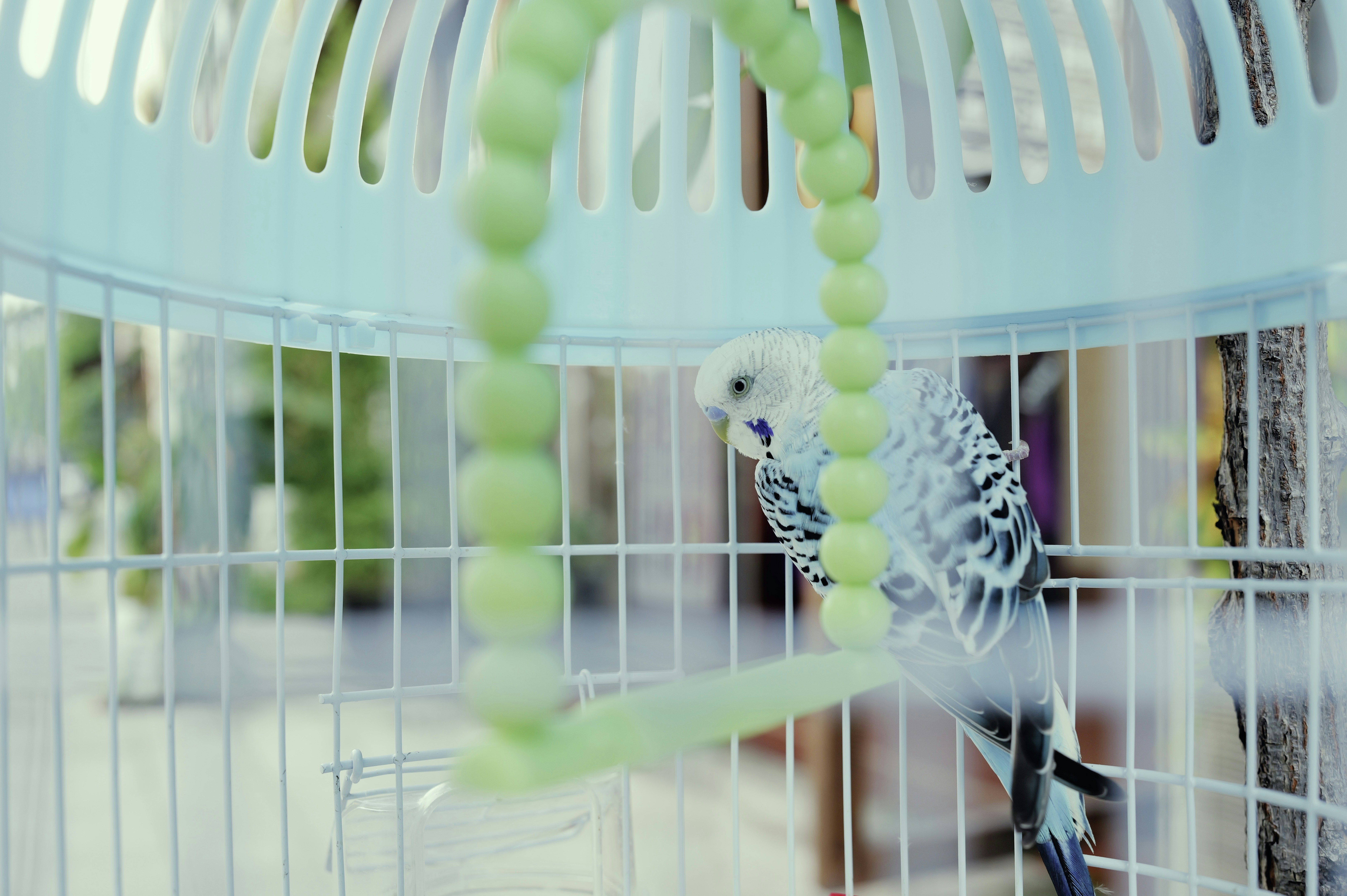 A parakeet in a bird cage with beads hanging from it