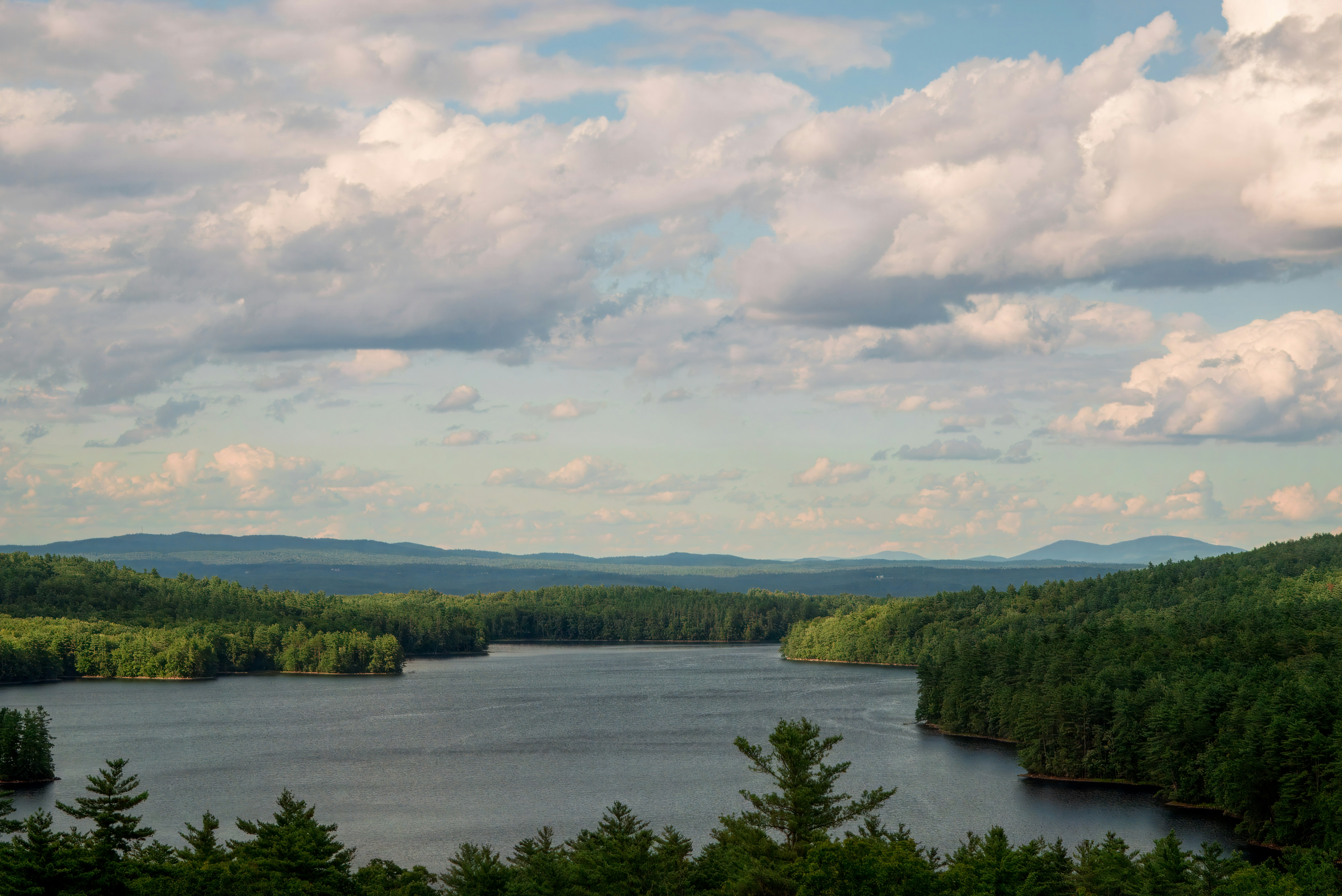 A lake surrounded by forest under a cloudy sky