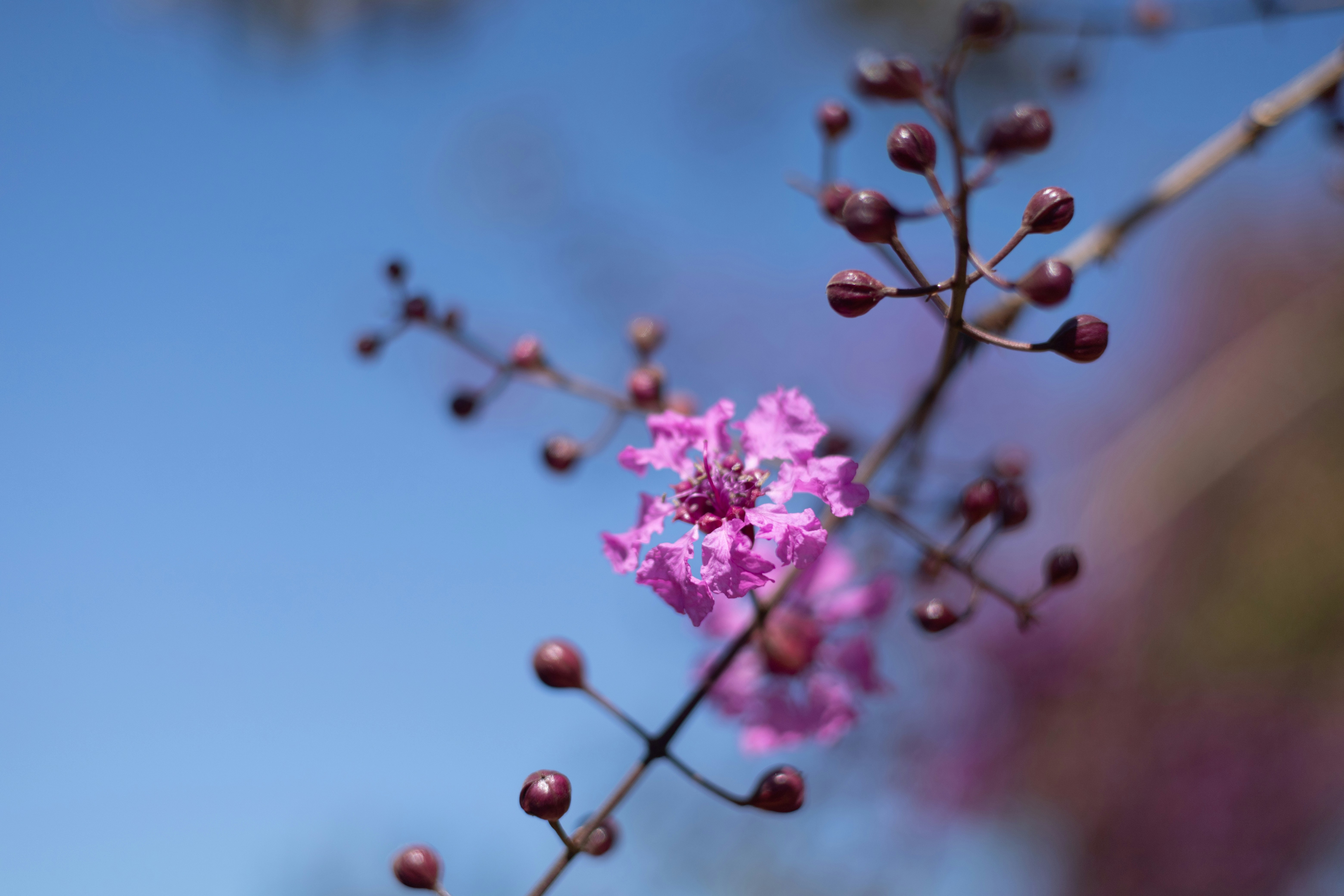 Photo by rrodriguesim