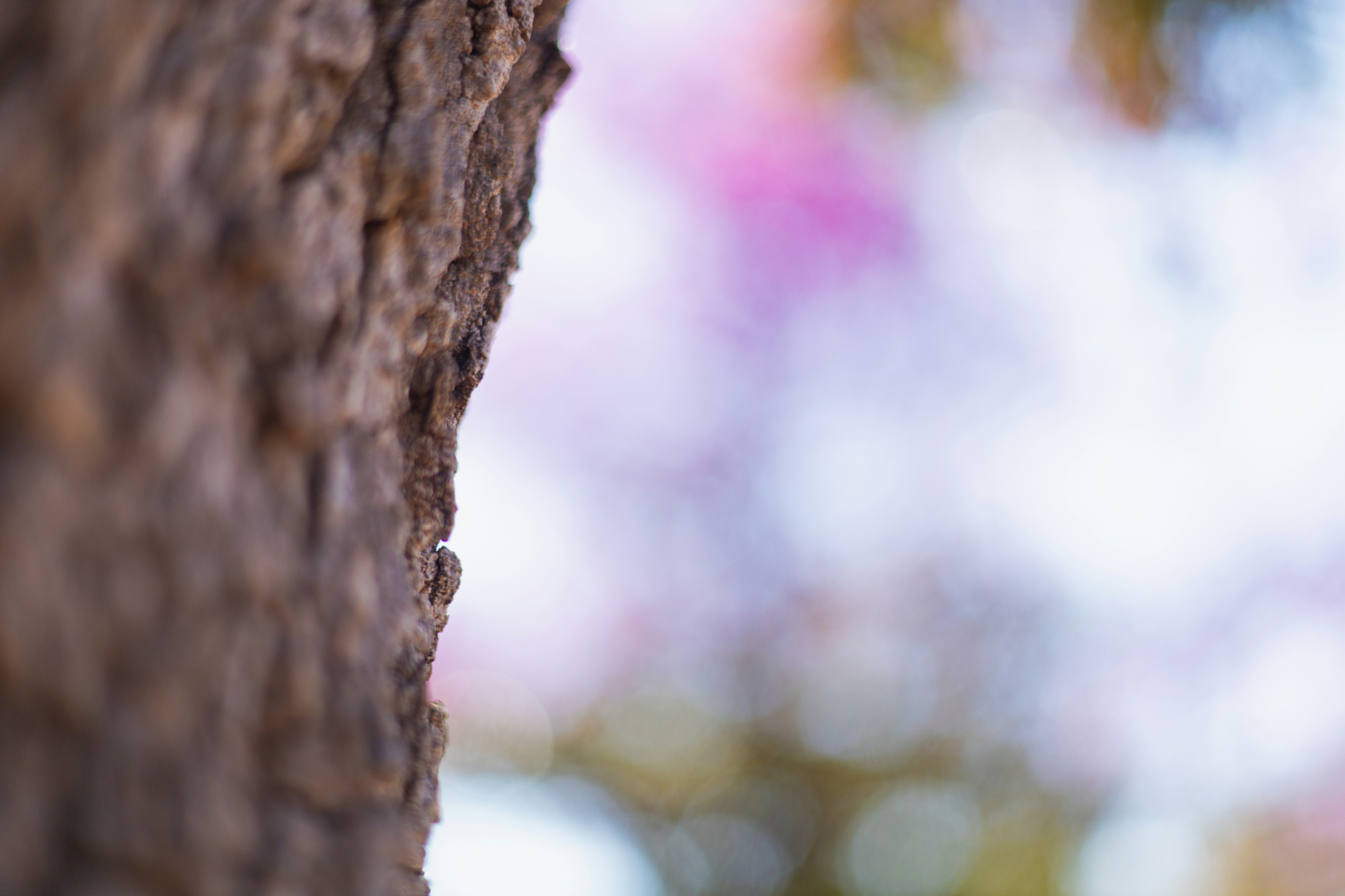 Photo by rrodriguesim