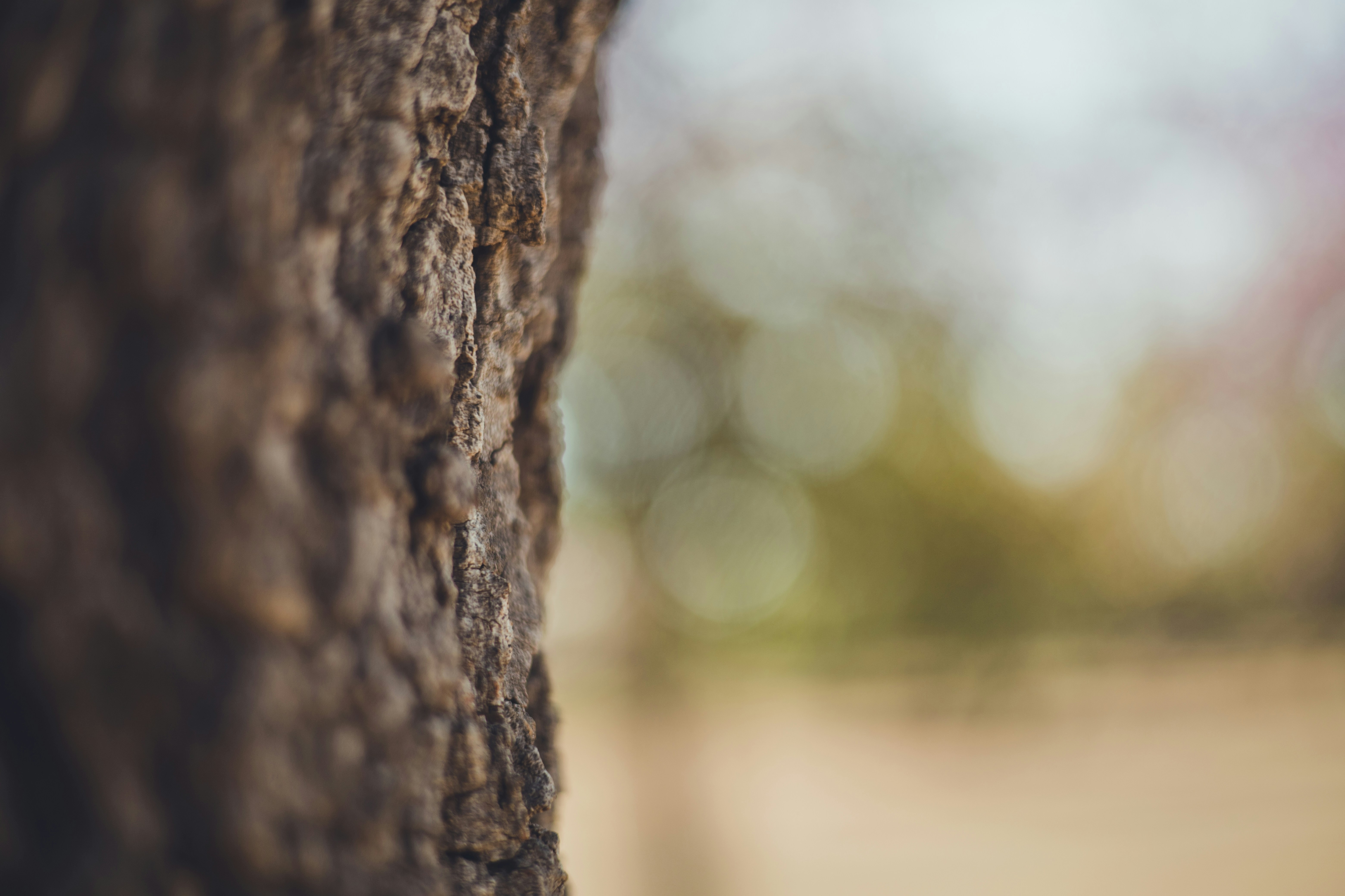 Photo by rrodriguesim