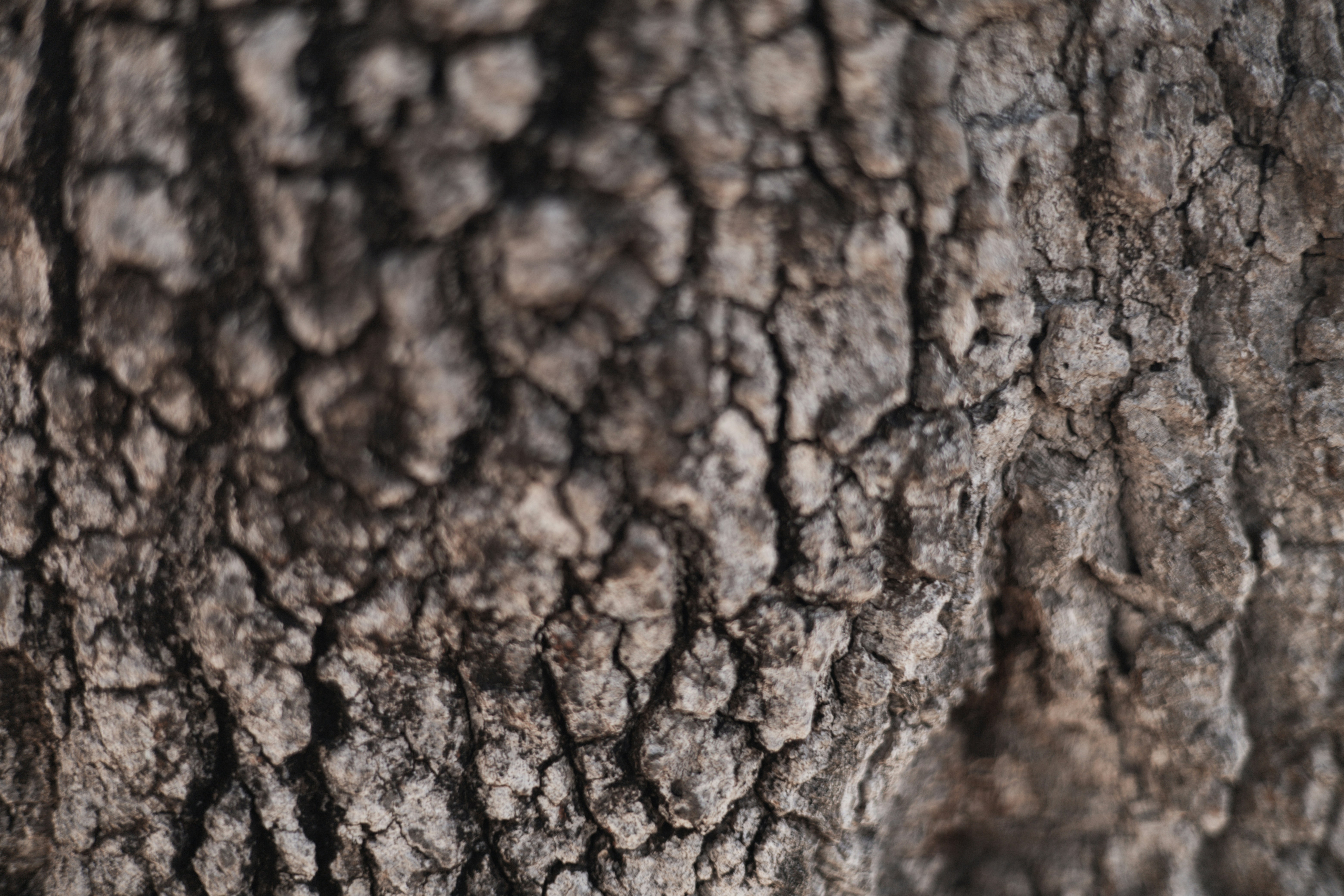 Photo by rrodriguesim