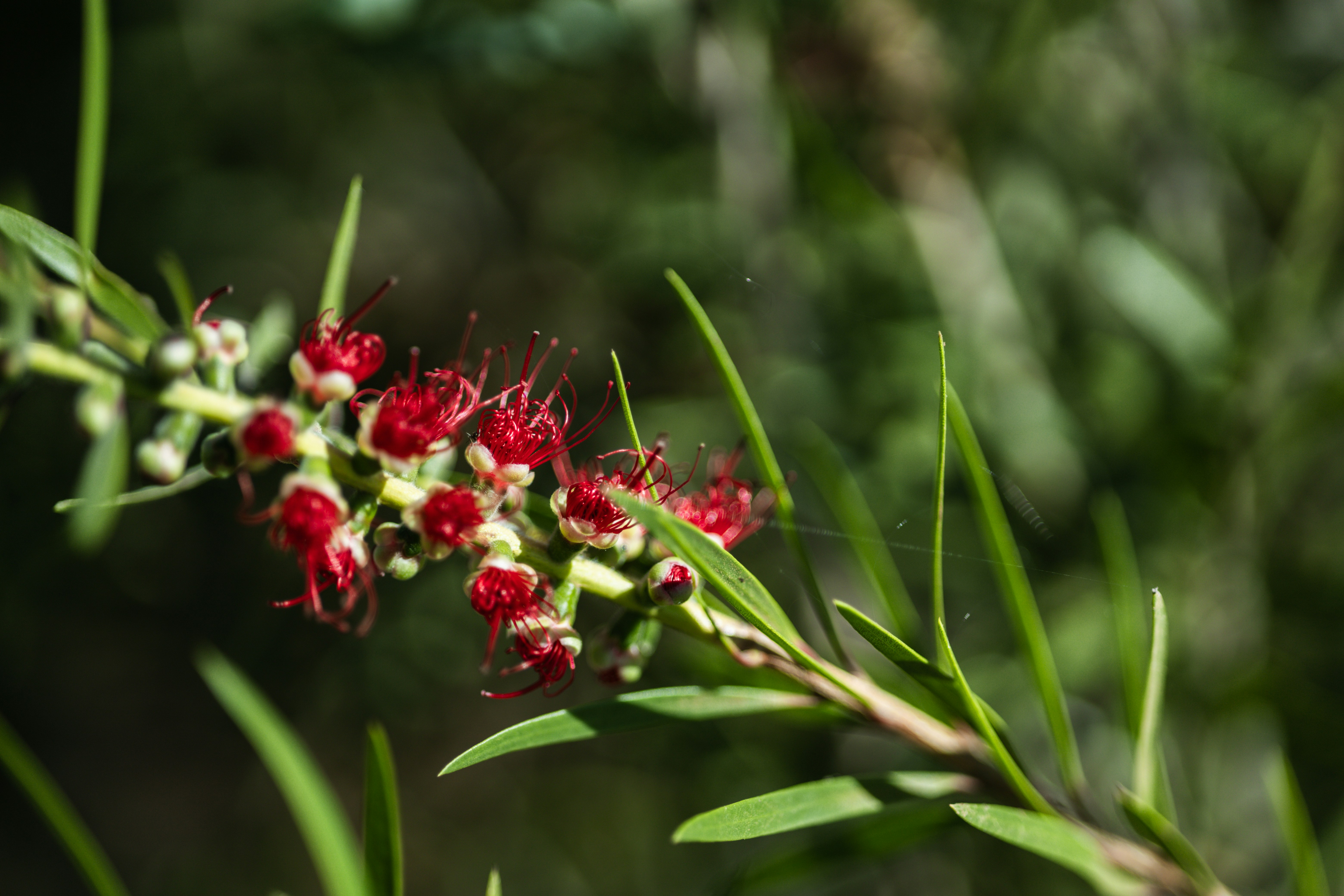 Photo by rrodriguesim