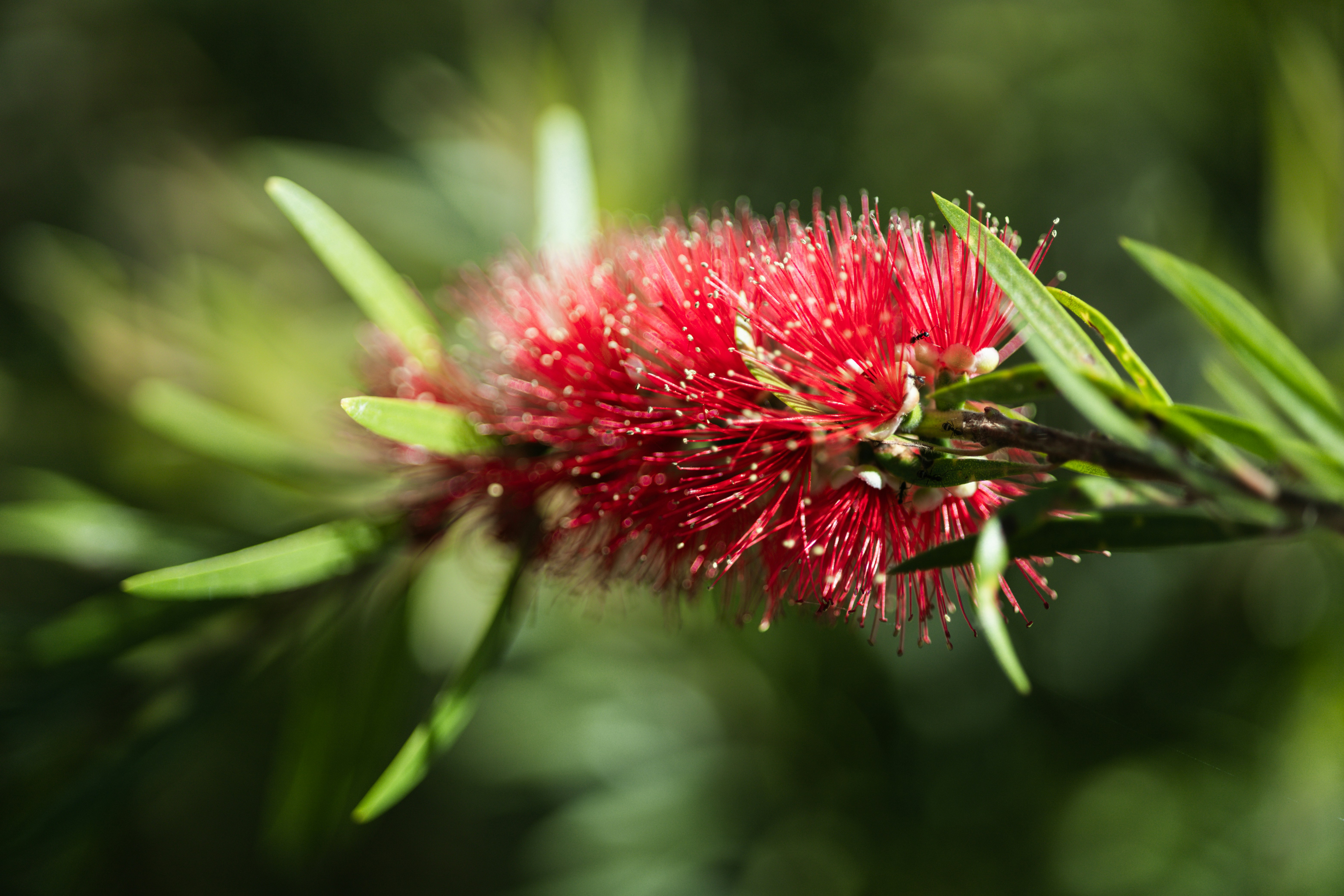 Photo by rrodriguesim