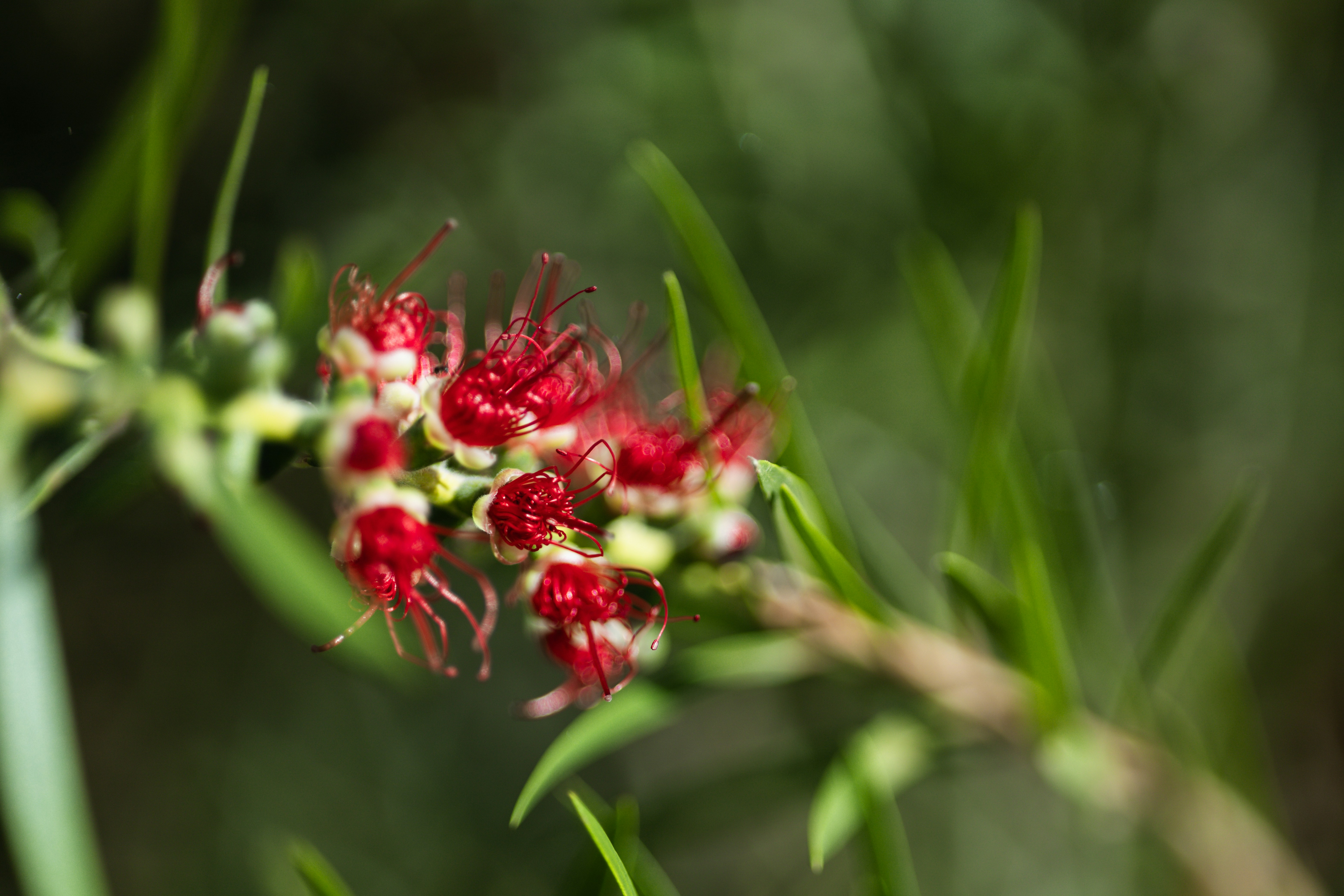 Photo by rrodriguesim