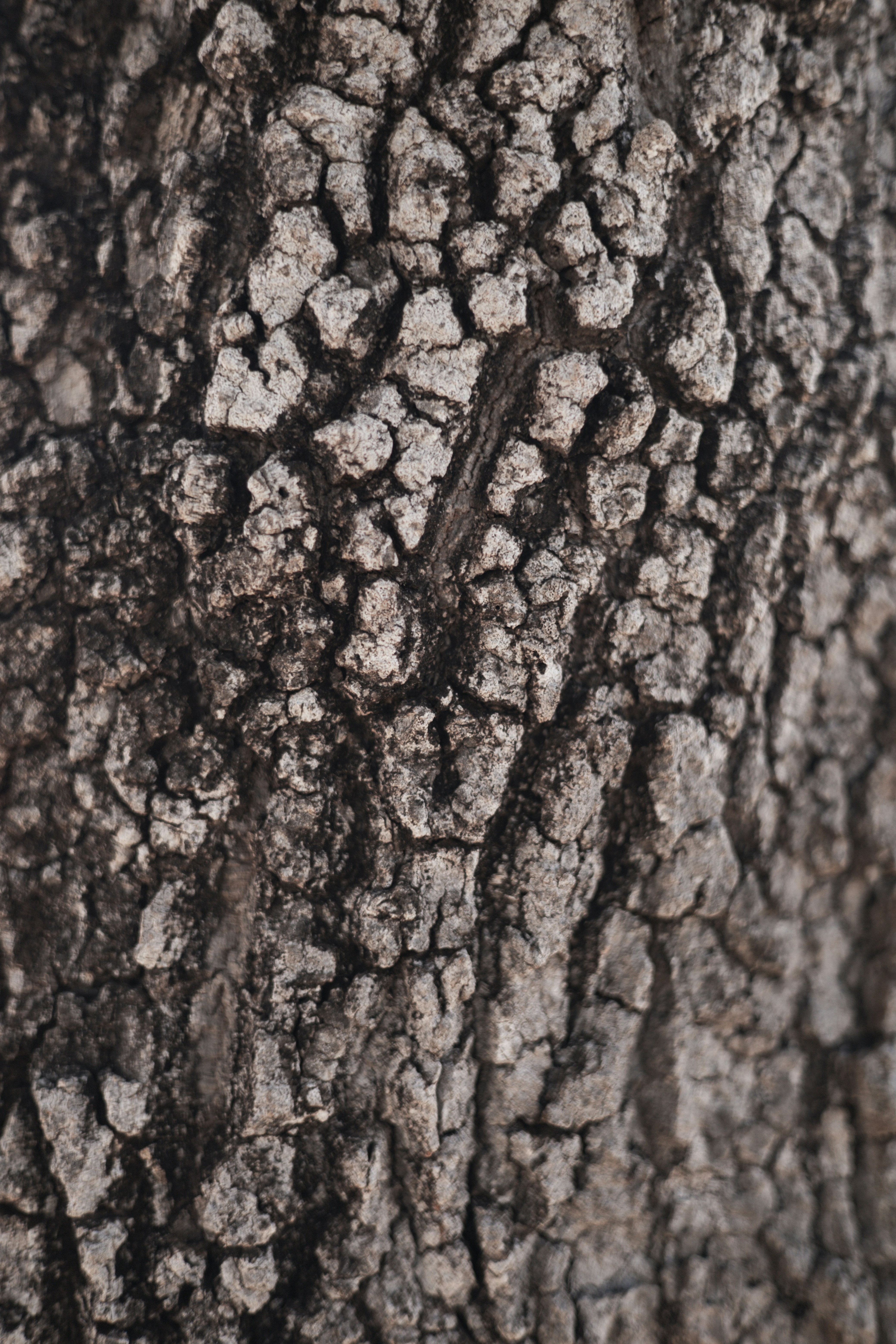 Photo by rrodriguesim