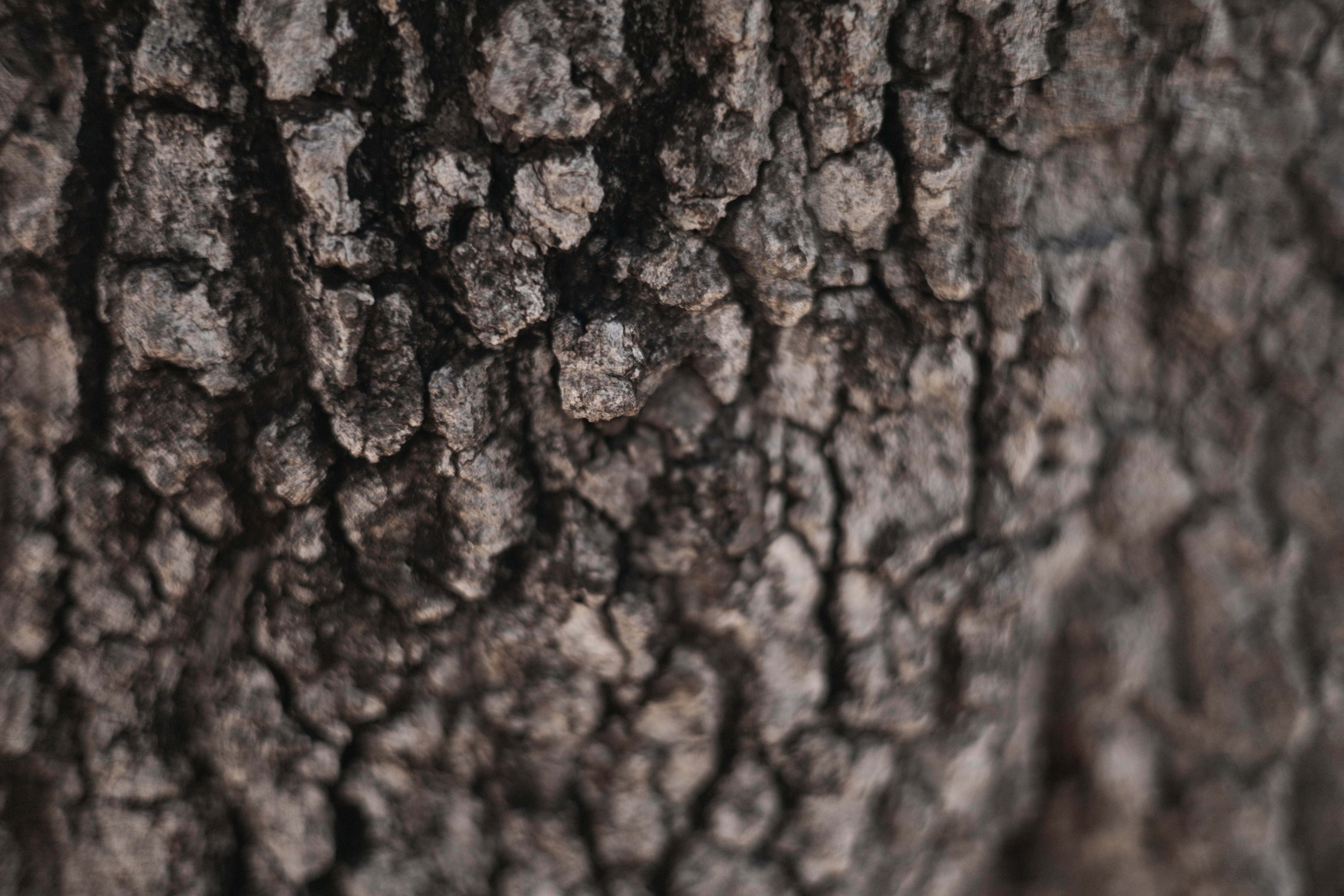 Photo by rrodriguesim