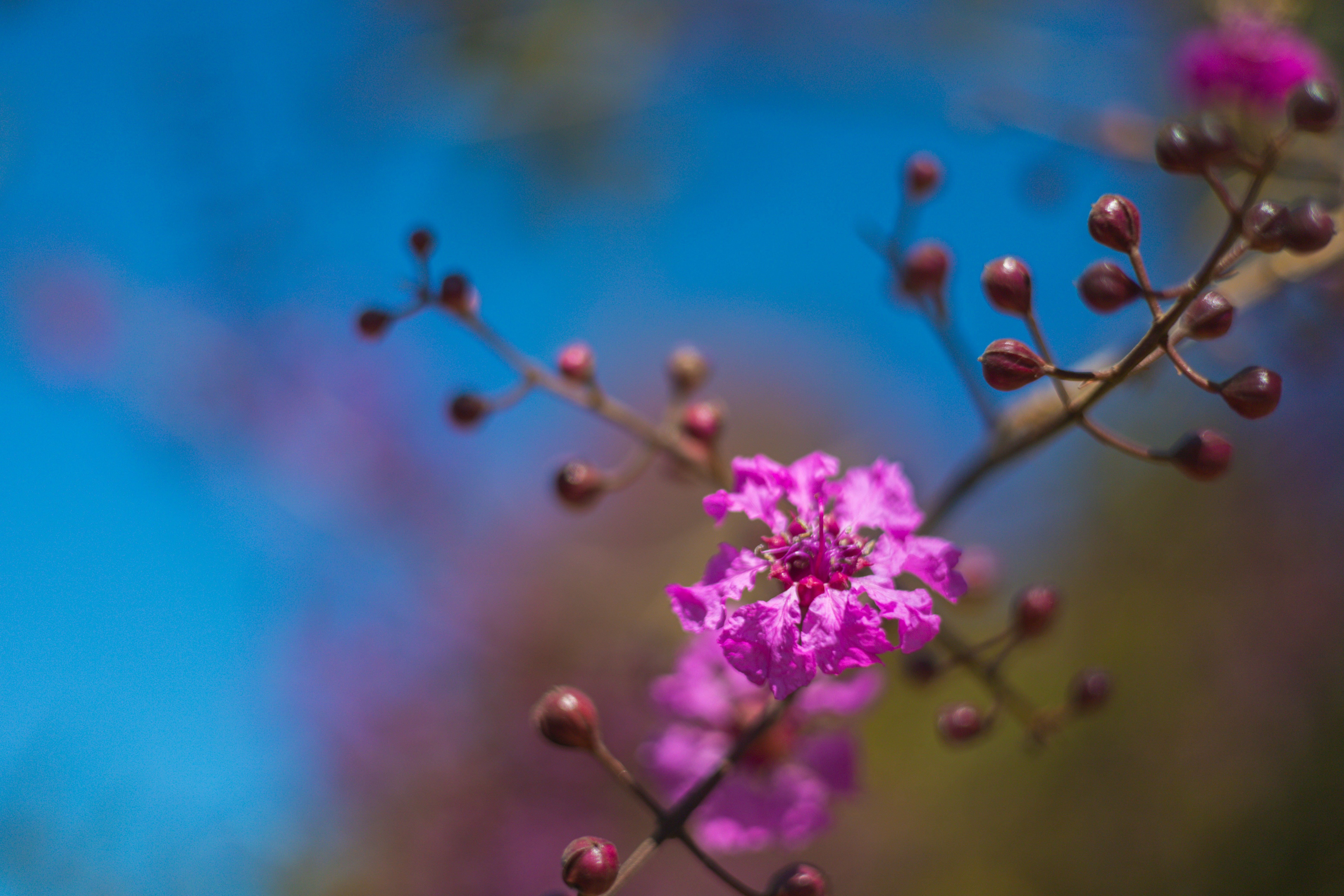 Photo by rrodriguesim