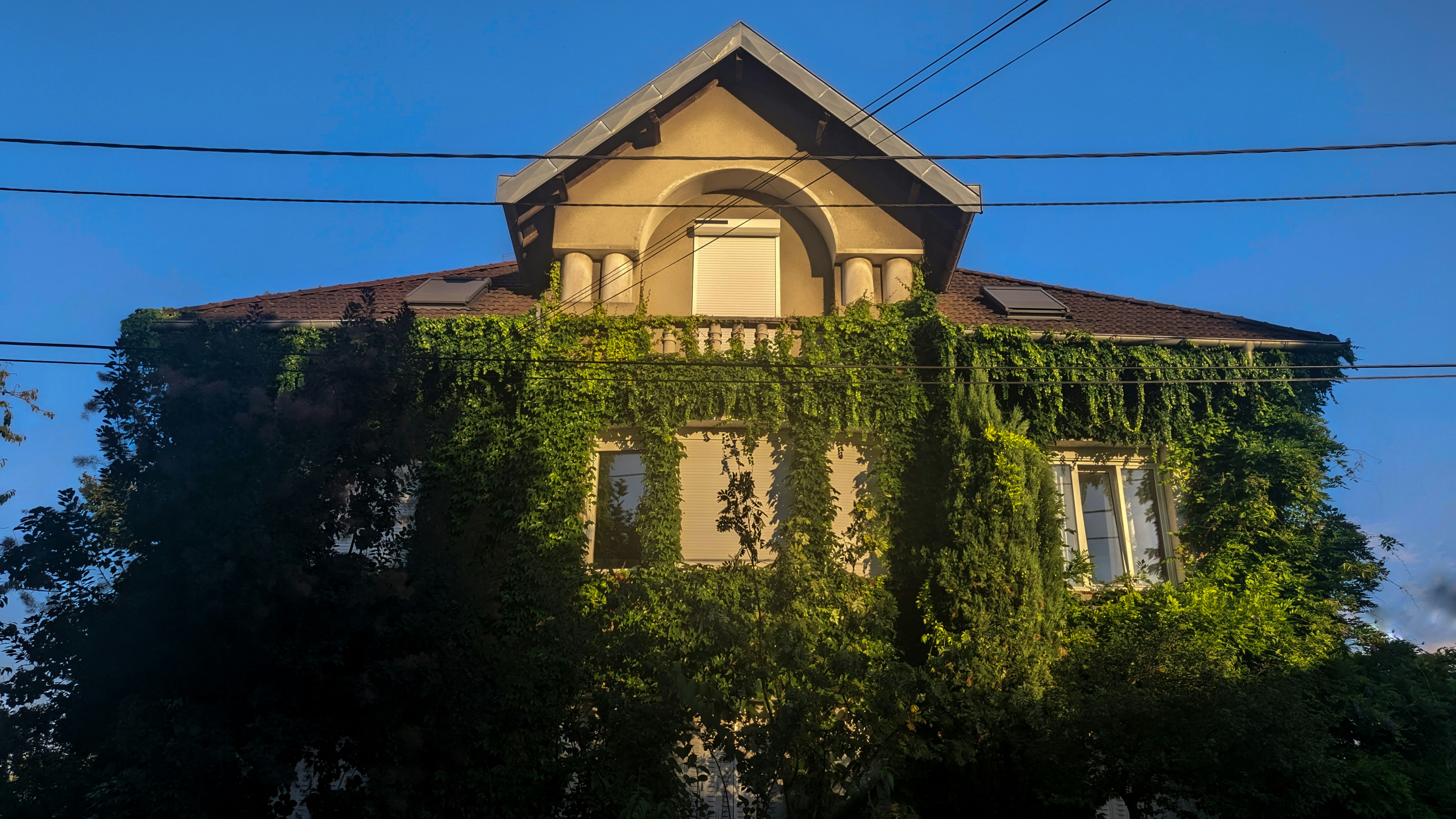 A house with vines growing on the side of it, 
