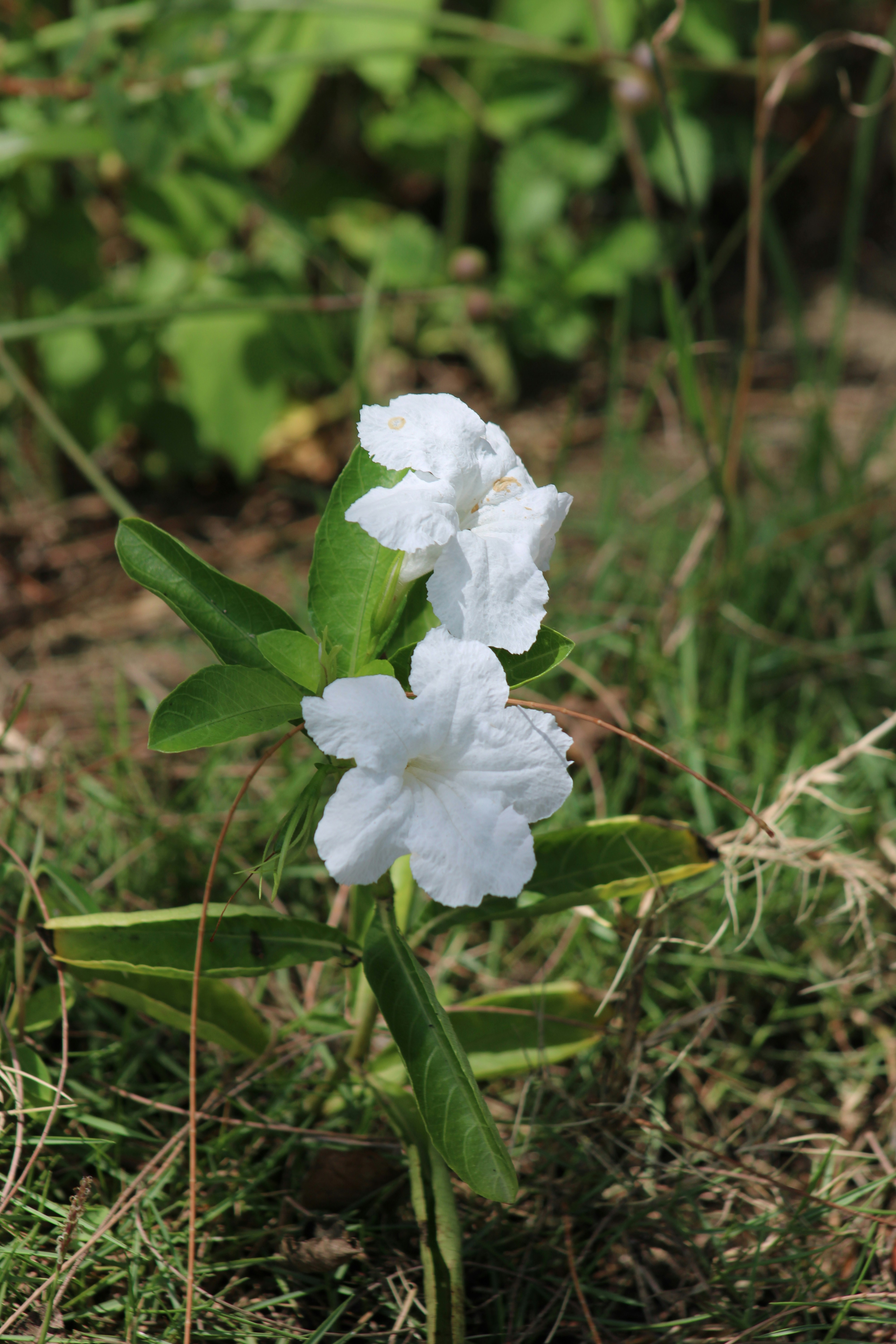 Photo by loaizaperez