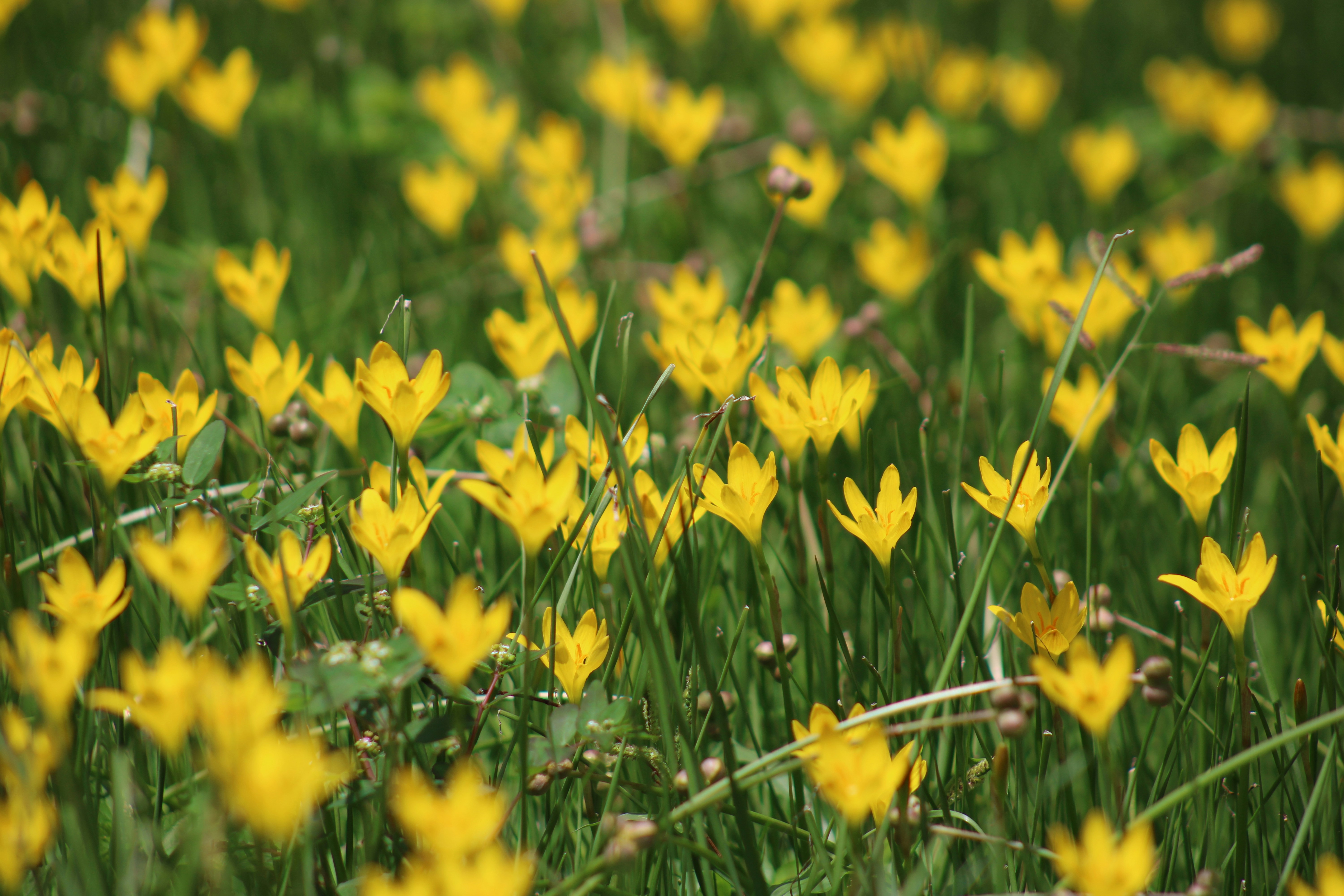 Photo by loaizaperez