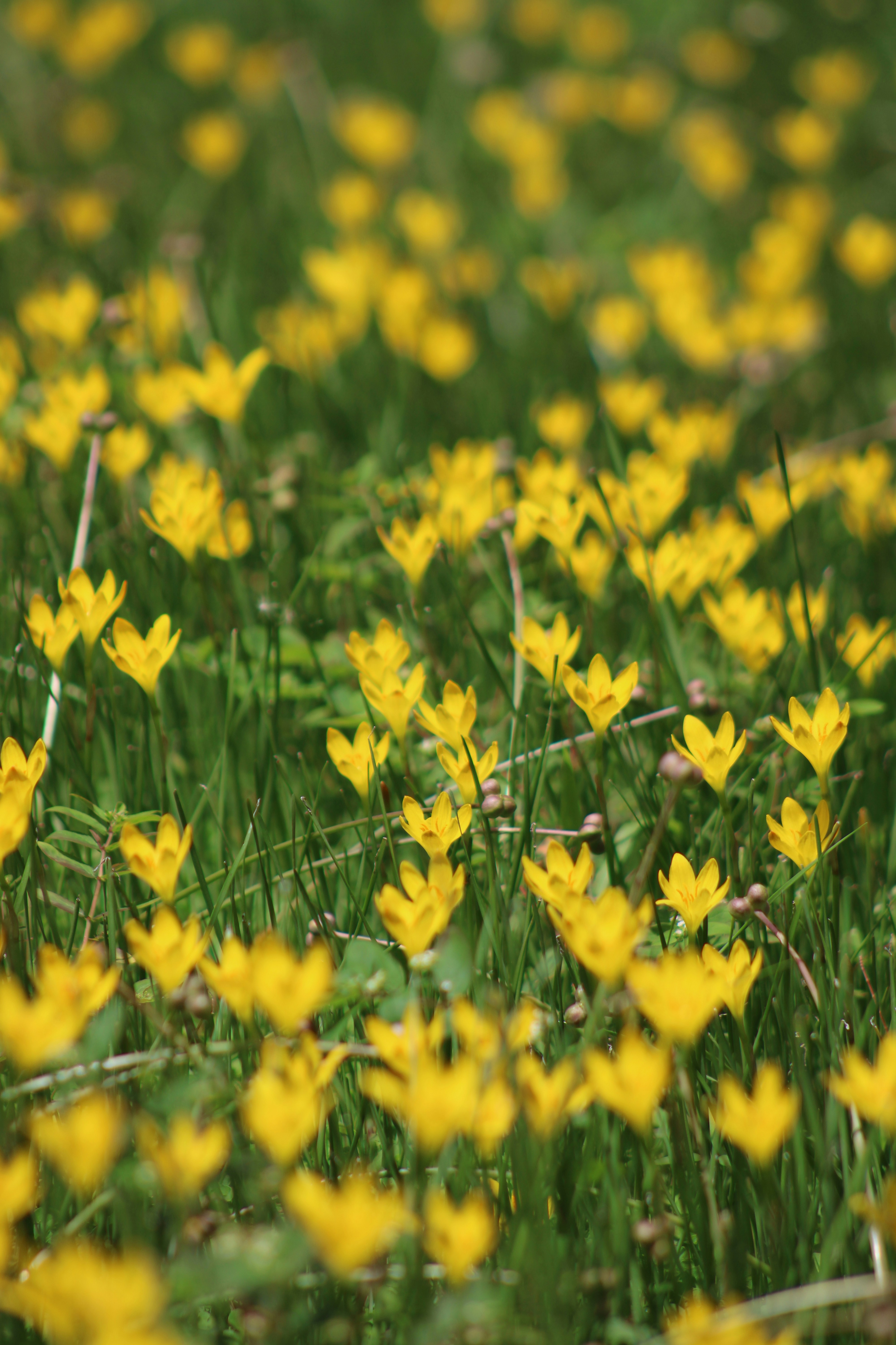 Photo by loaizaperez