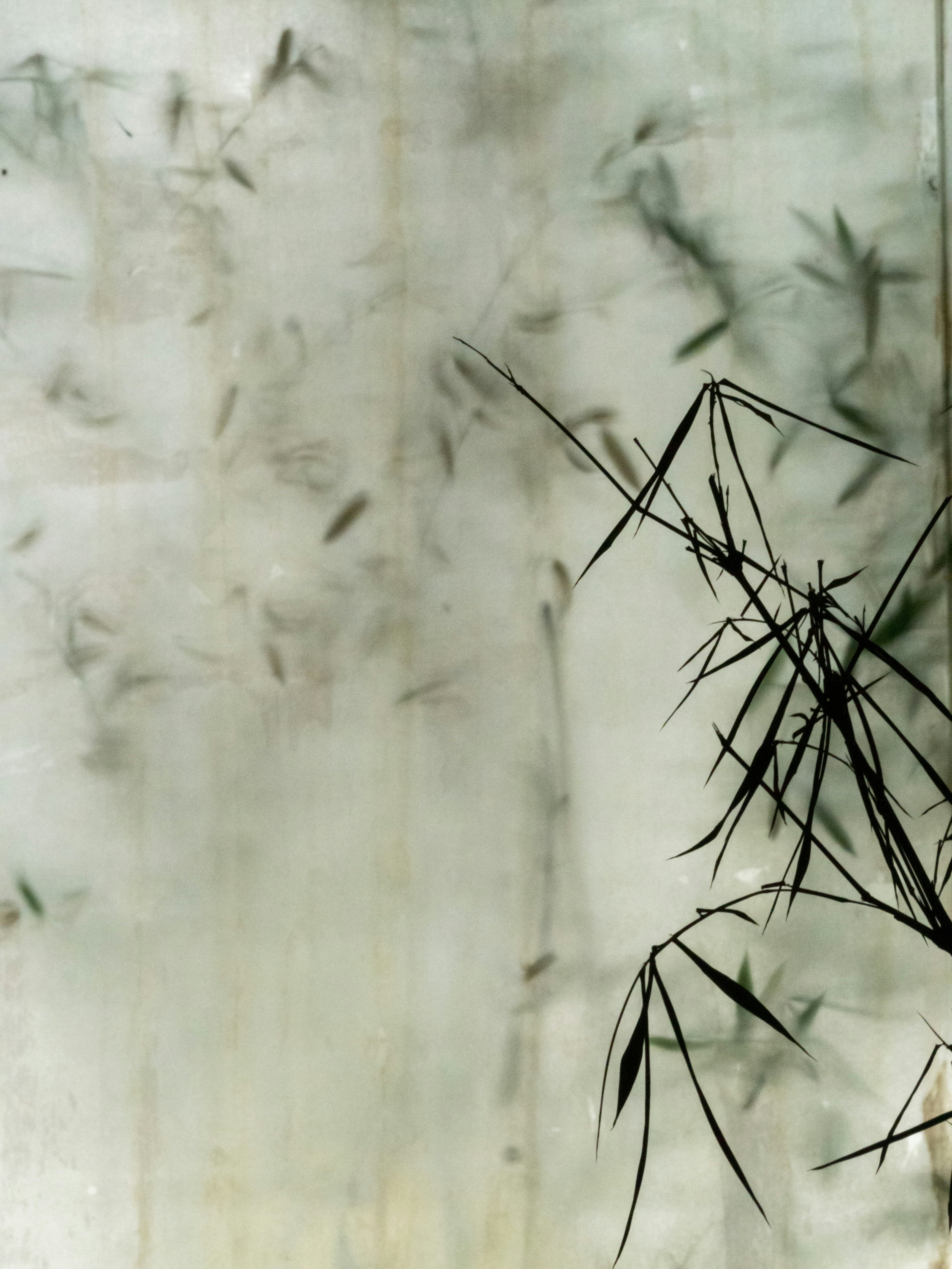 Photo by siriusharrison