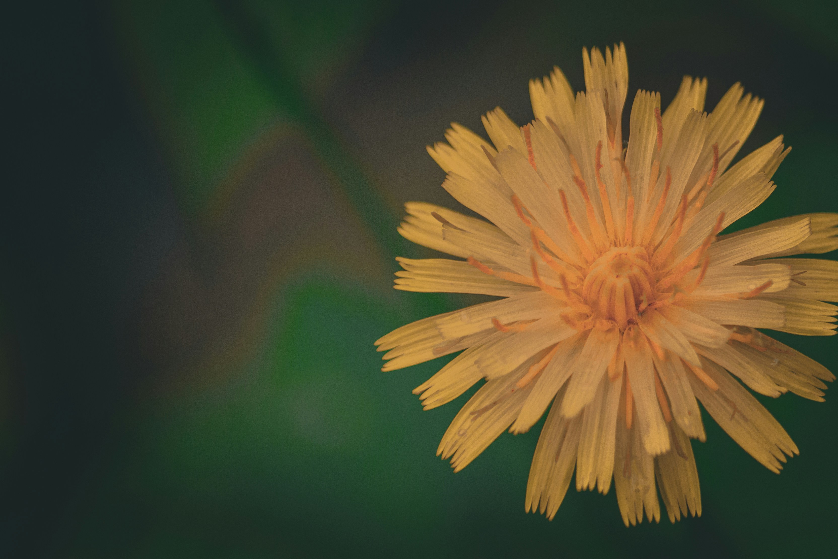 Photo by richiemortis