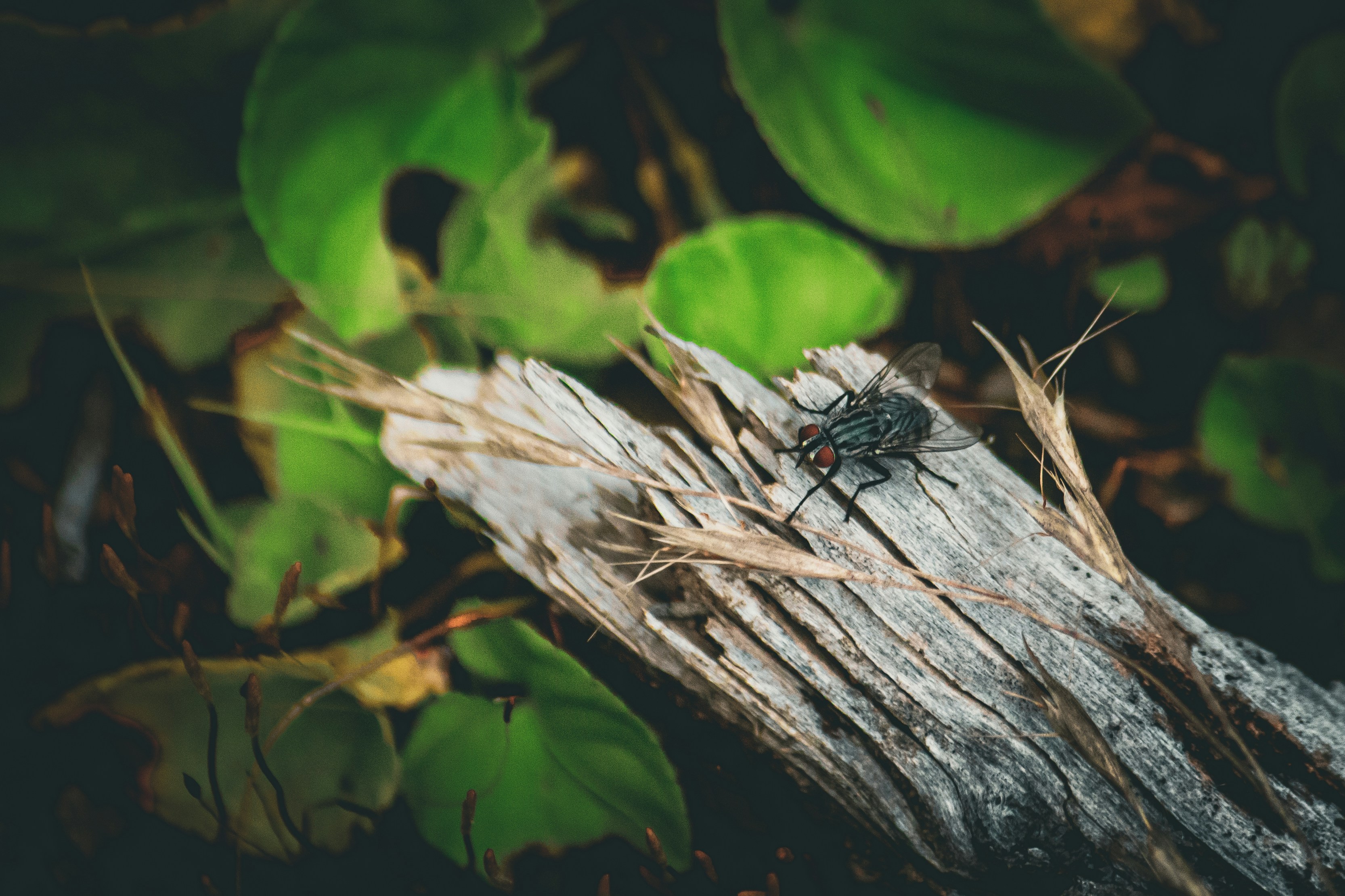 Photo by richiemortis