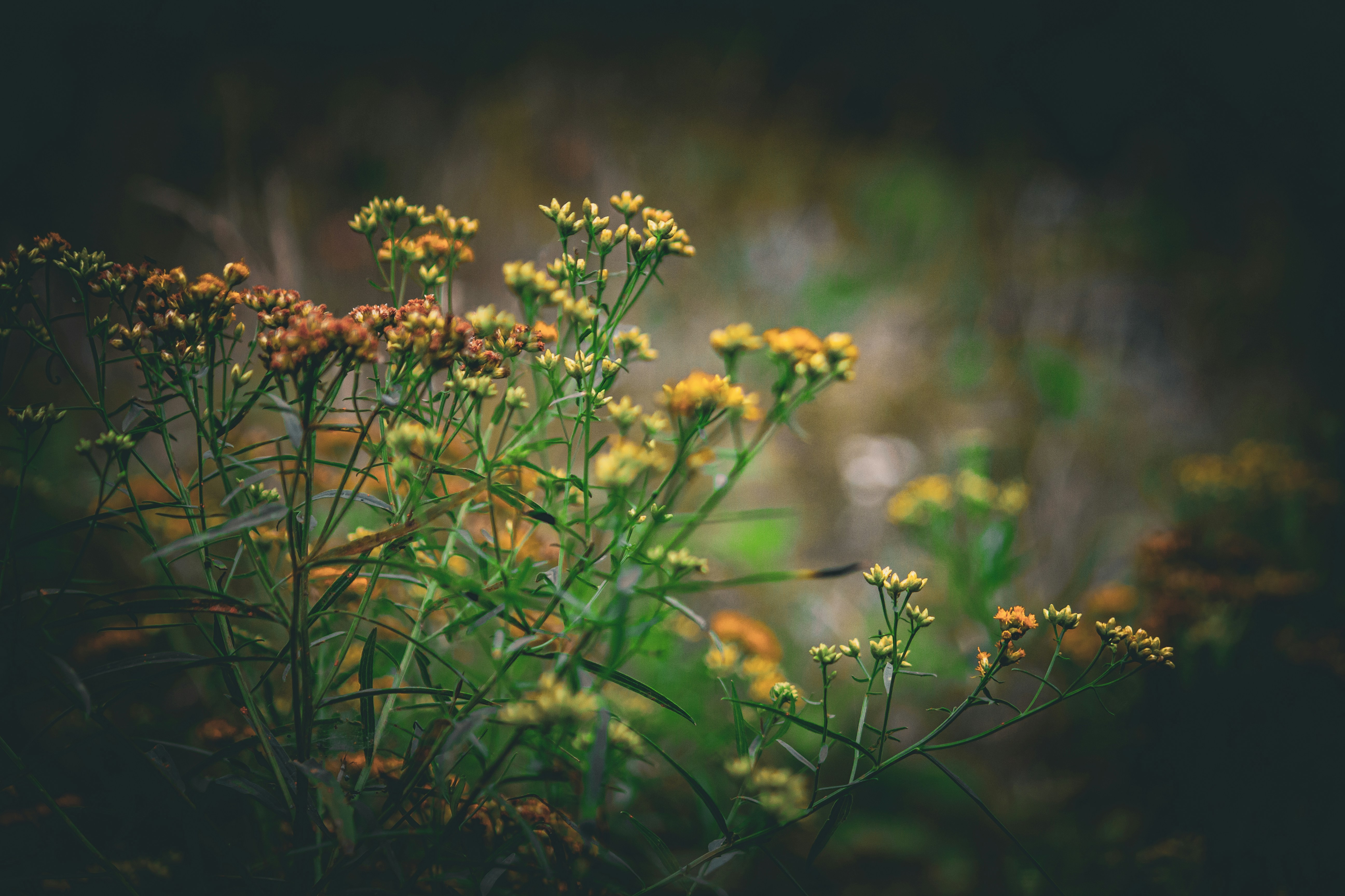 Photo by richiemortis