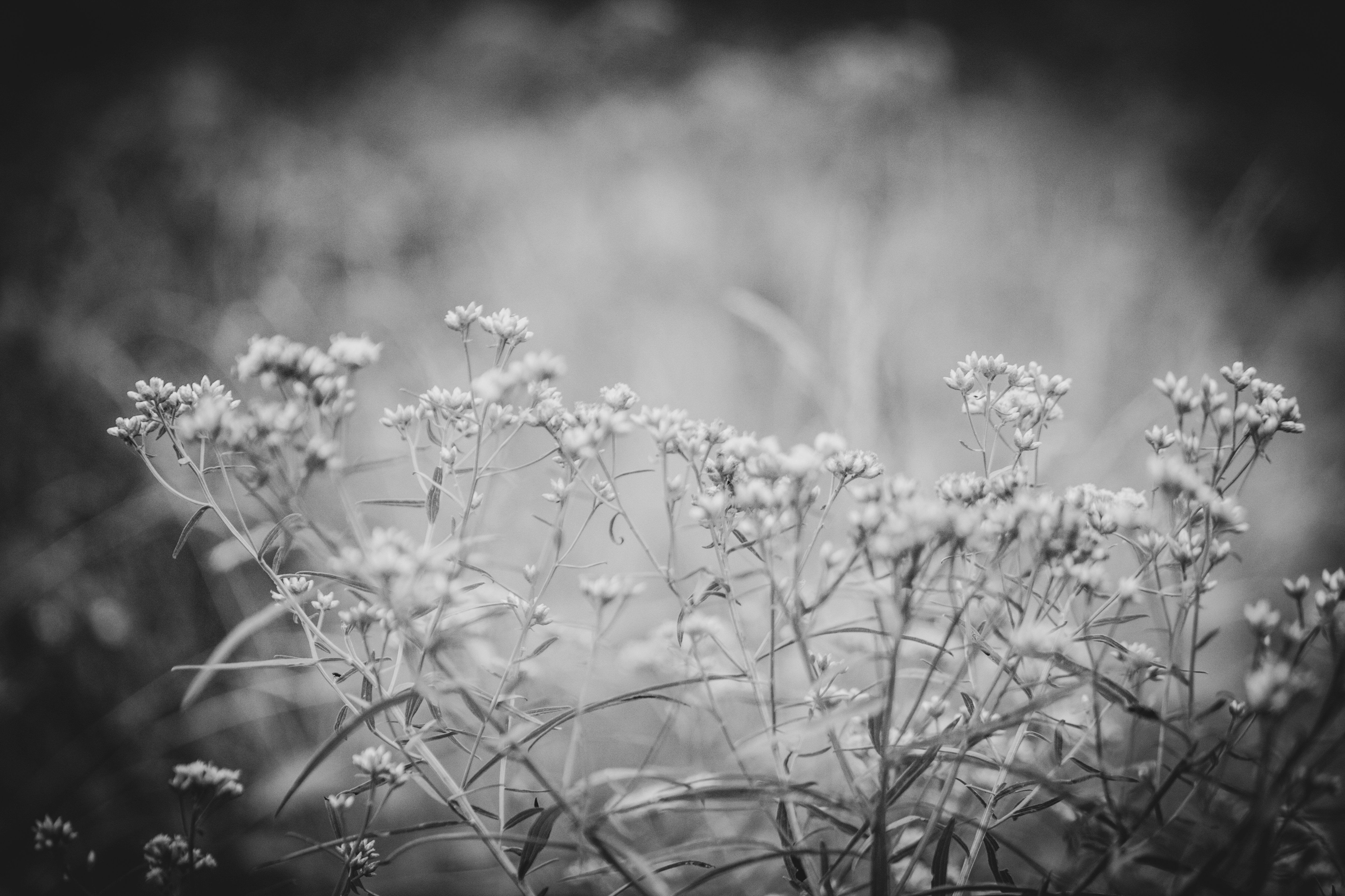 Photo by richiemortis