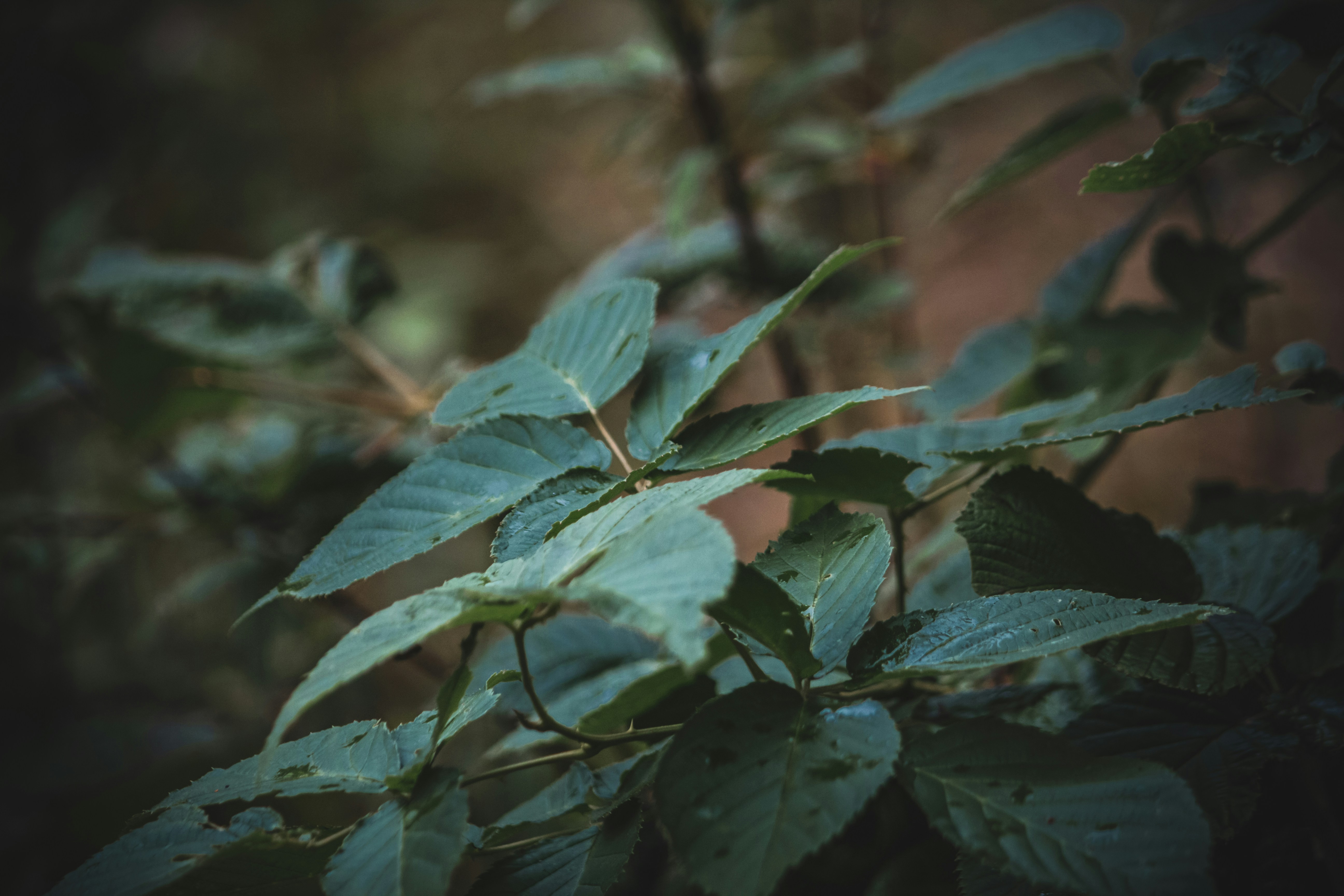 Photo by richiemortis