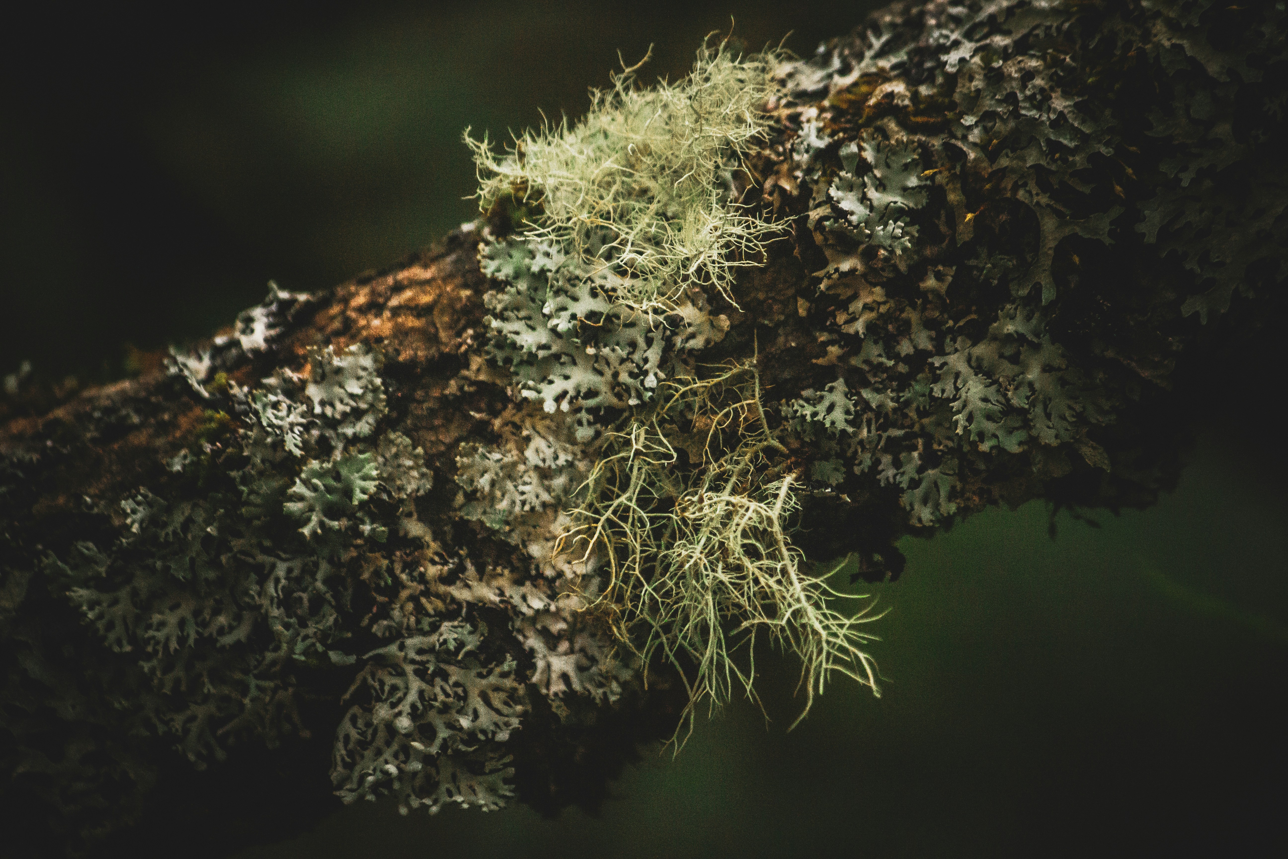 Photo by richiemortis