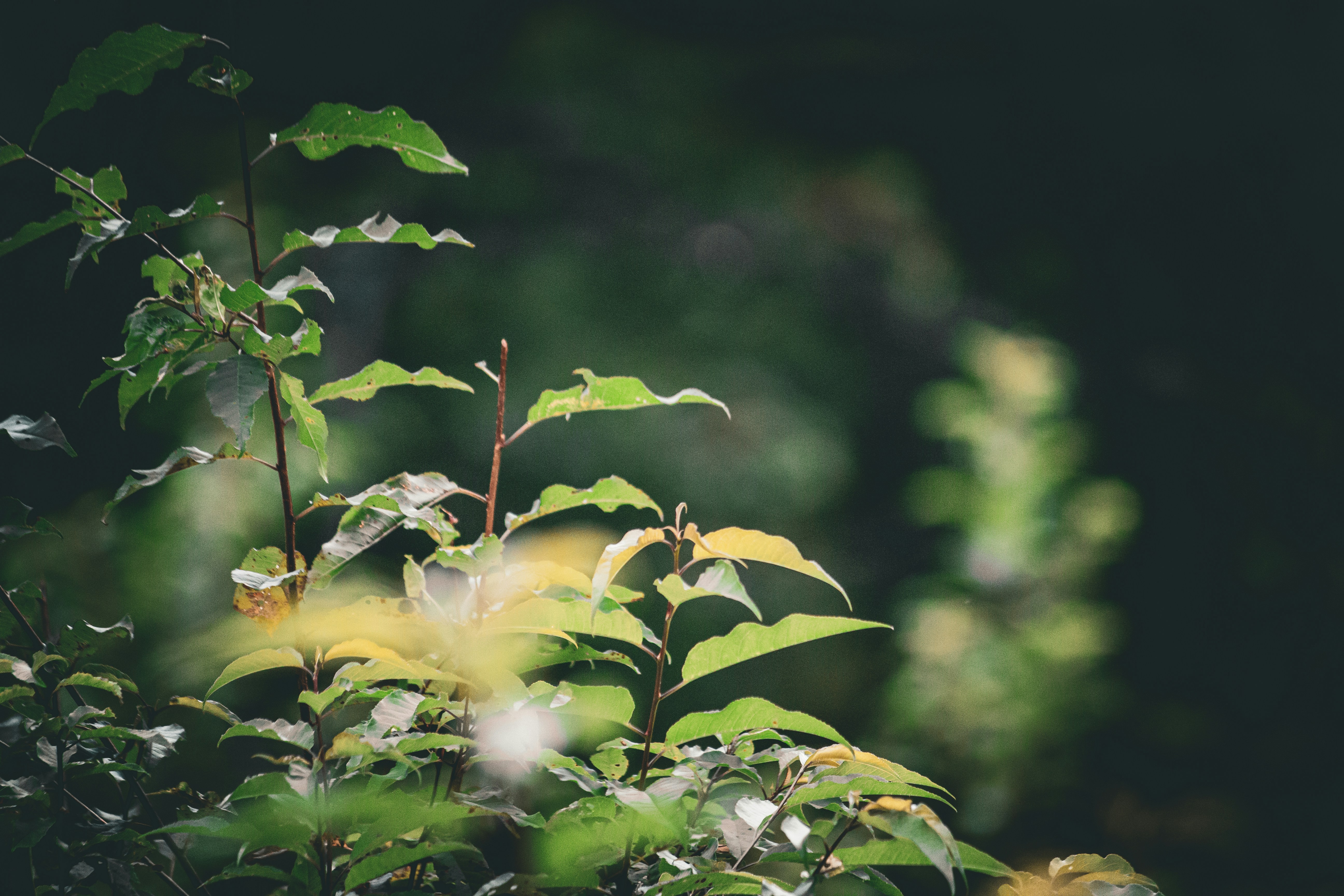 Photo by richiemortis