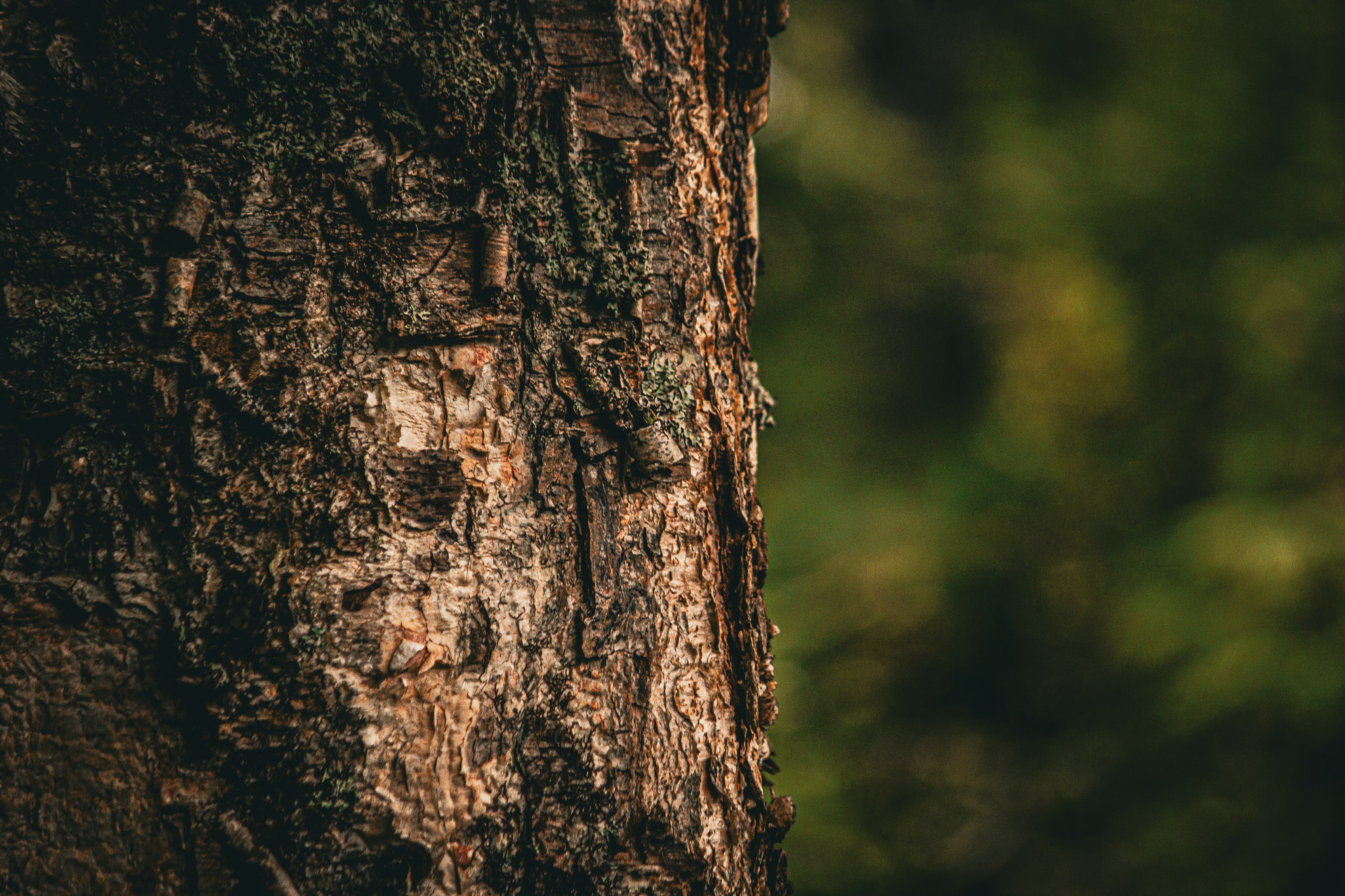 Photo by richiemortis