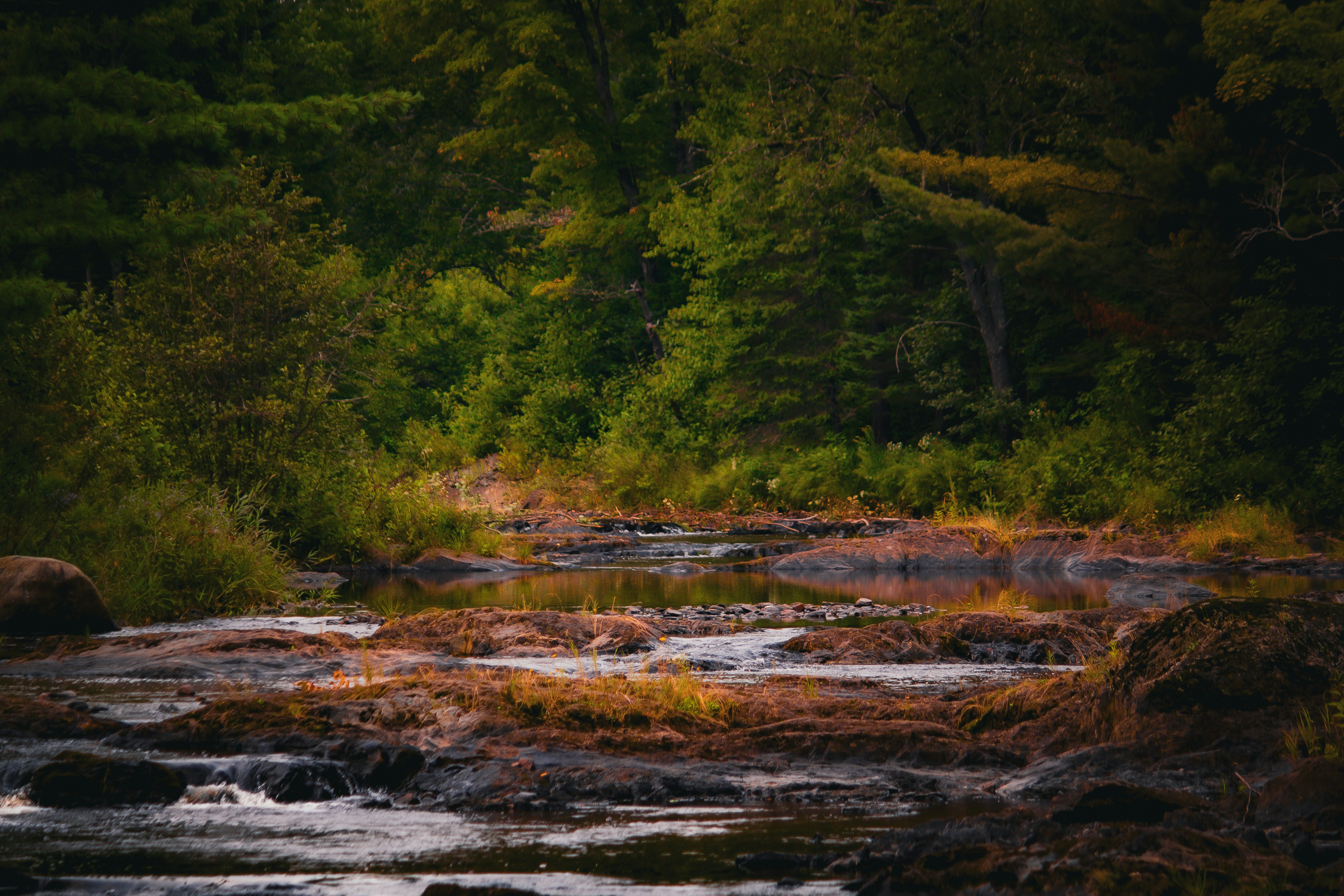 Photo by richiemortis