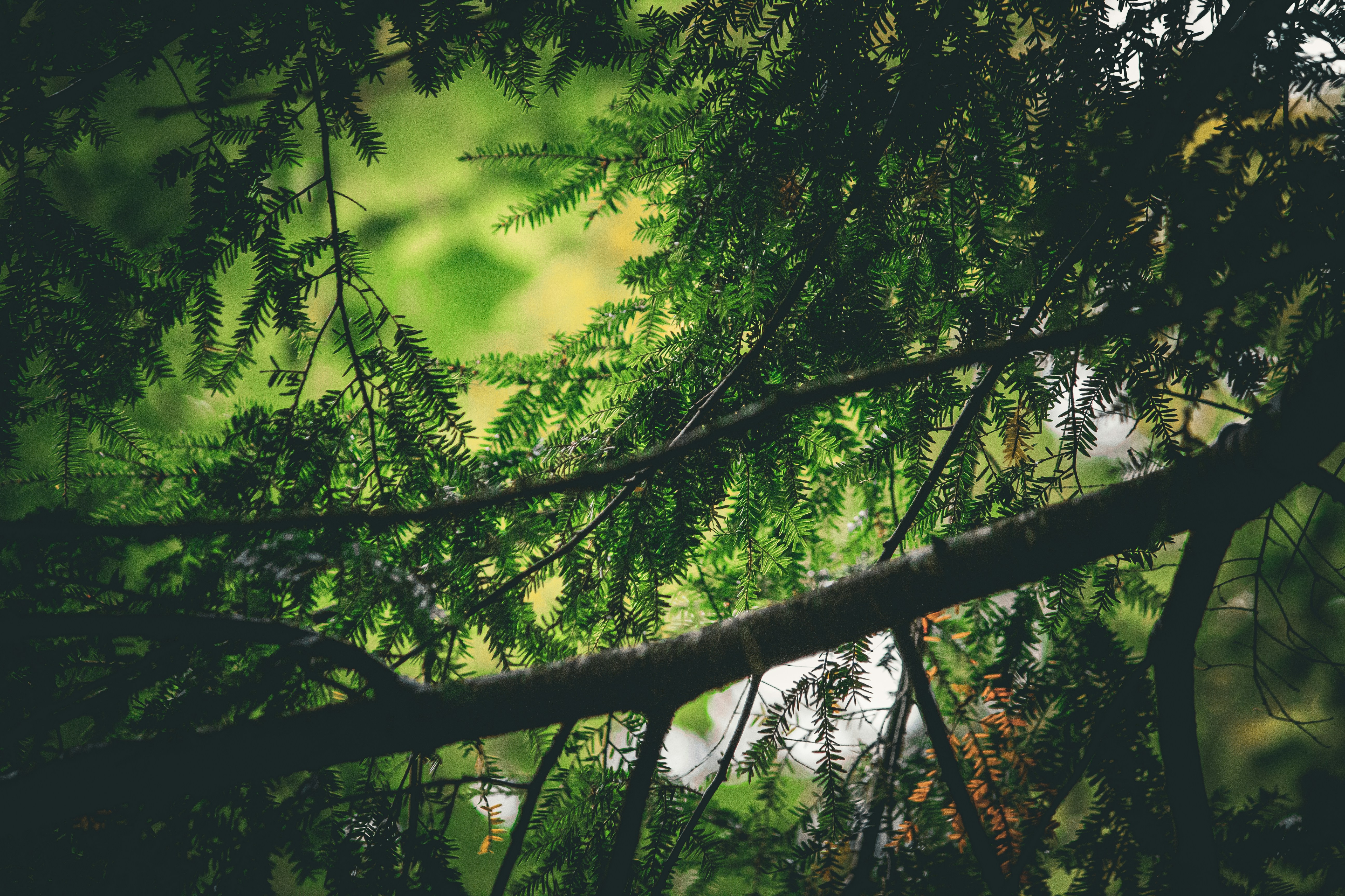 Photo by richiemortis