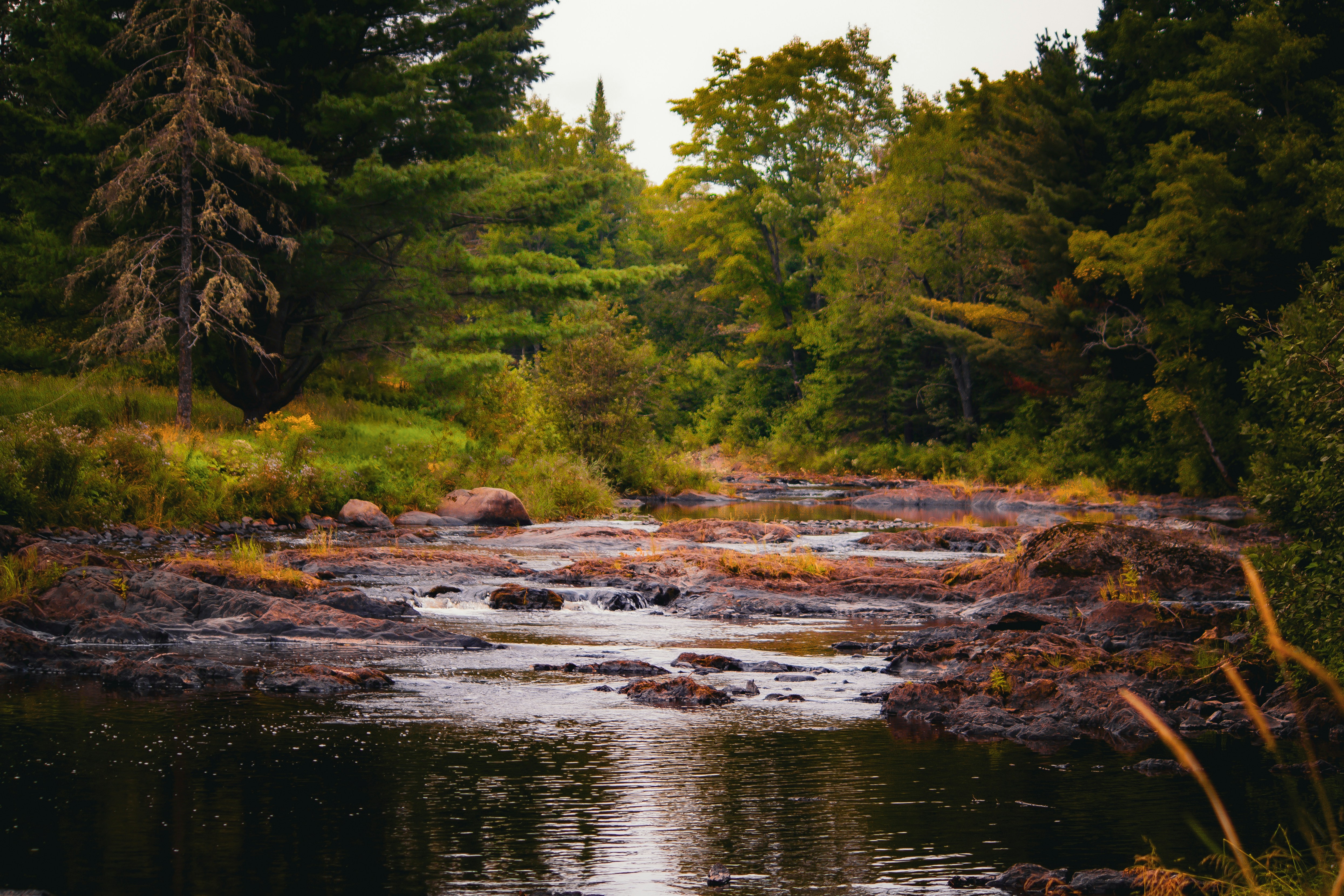 Photo by richiemortis